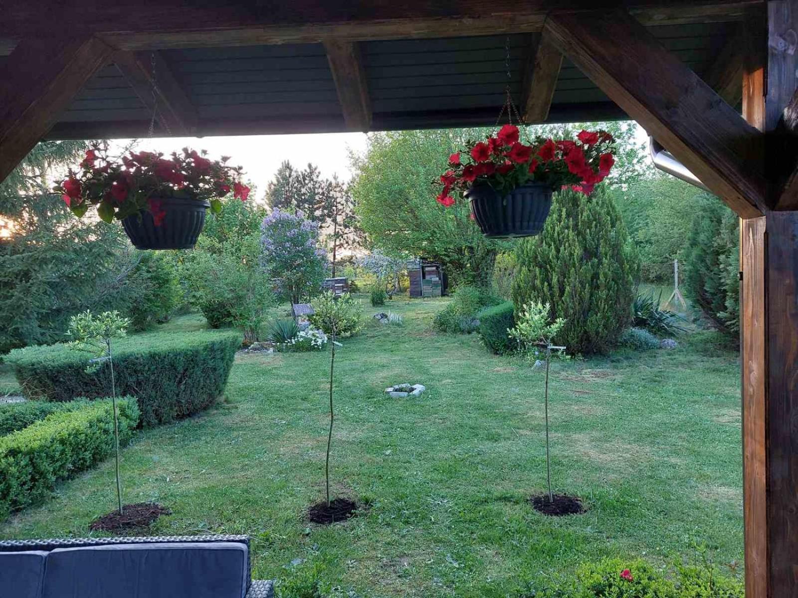 Photo 38
