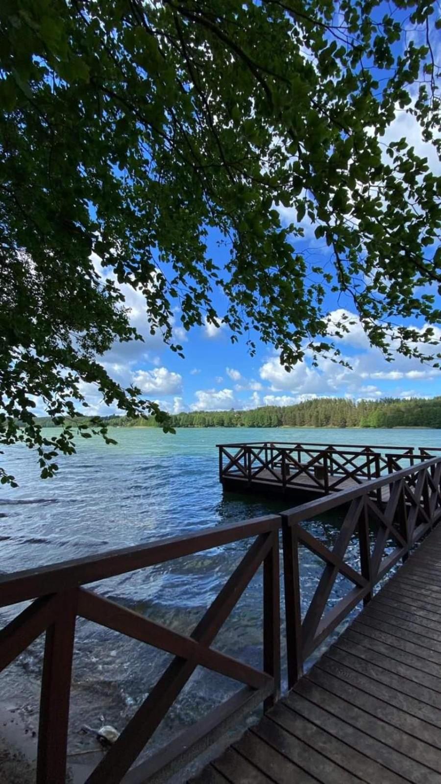Domek z basenem nad jeziorem Gwiazdy, Ostoja Bukowo, Kaszuby view 4