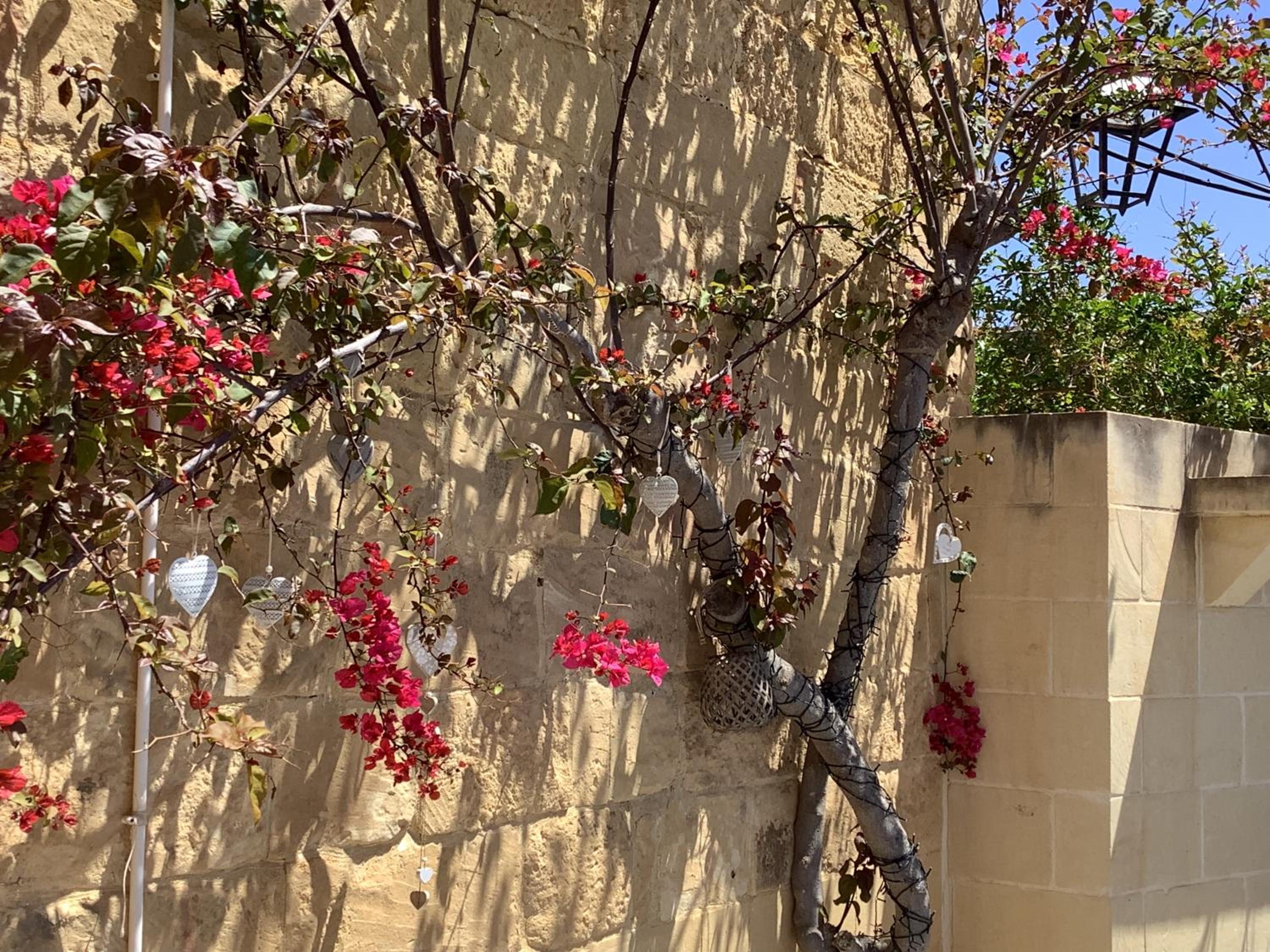 Hotel Ellie Boo - Image 1