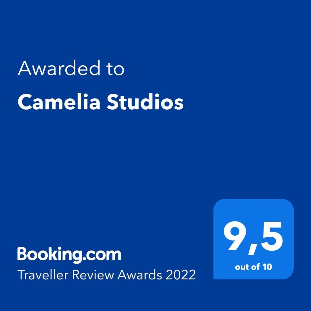 Camelia Studios photo 5
