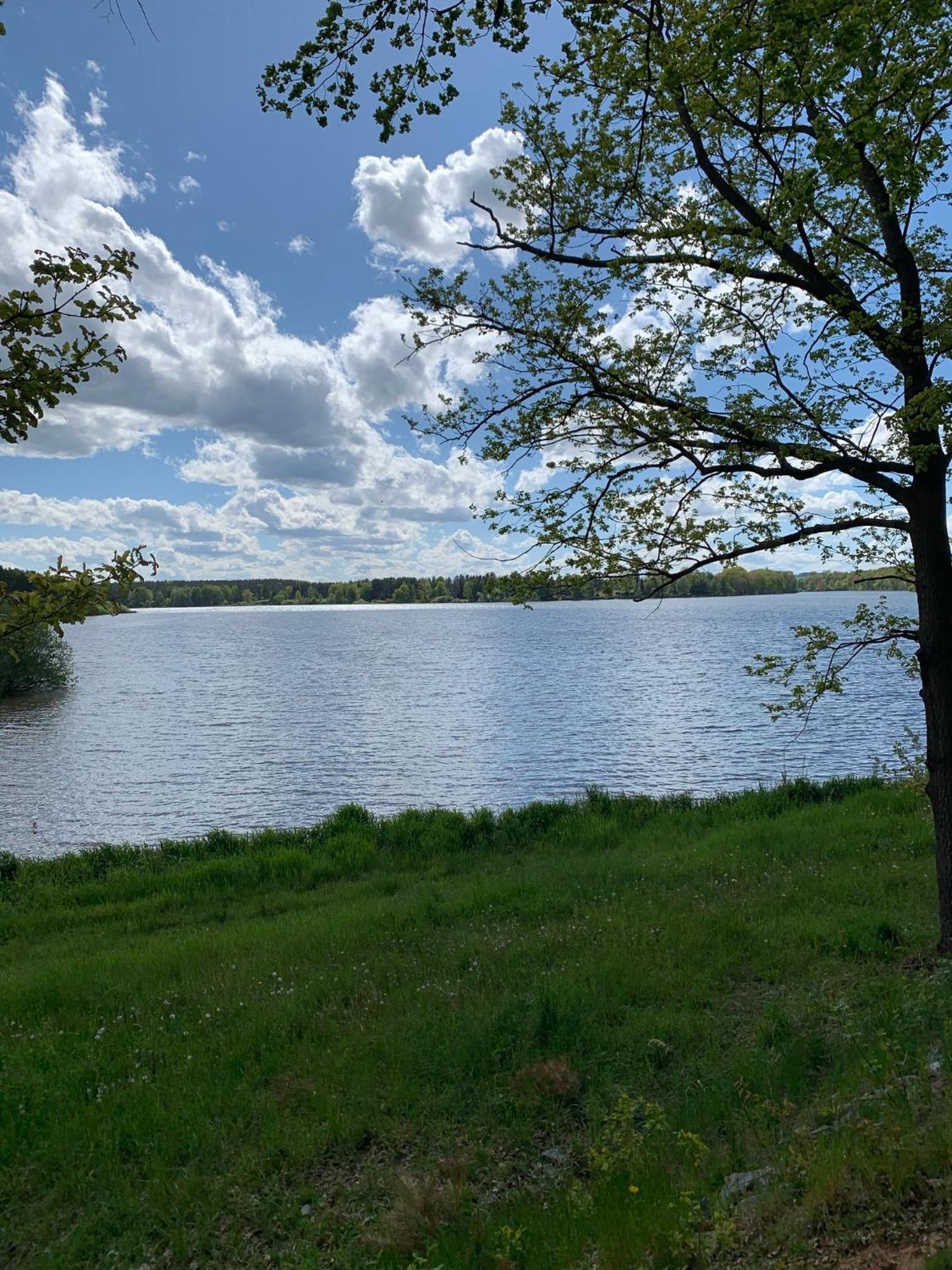 Photo 36