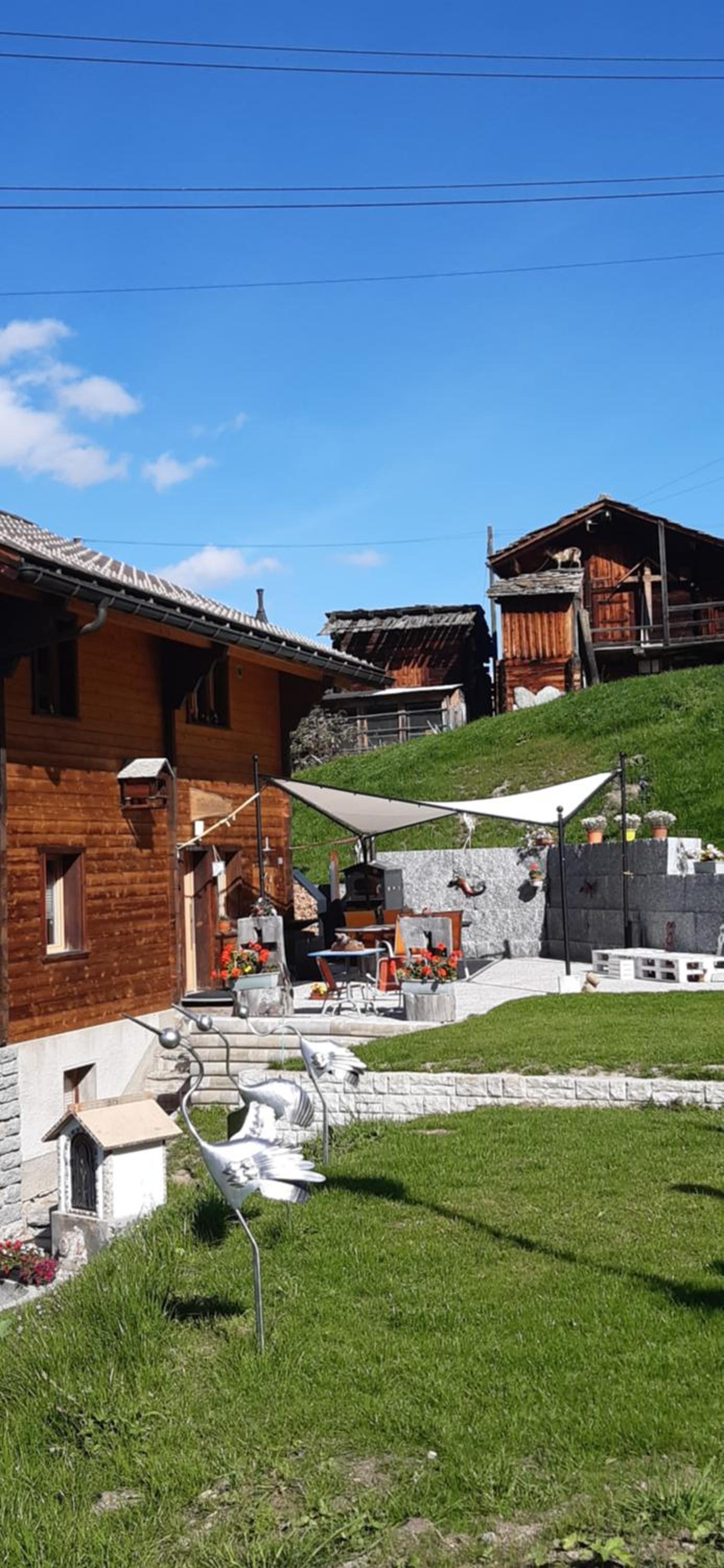 Riebe 331 view 5