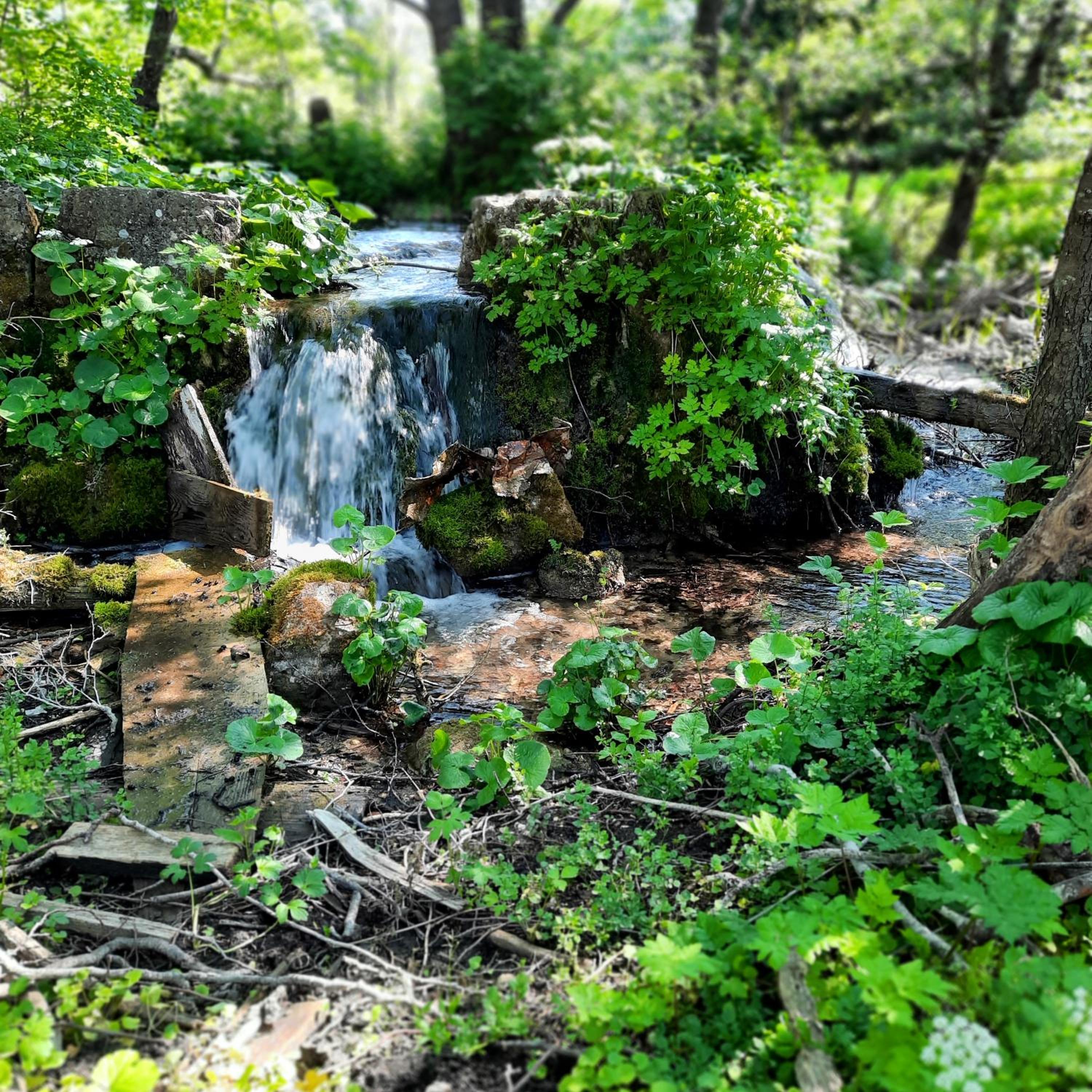 Photo 17