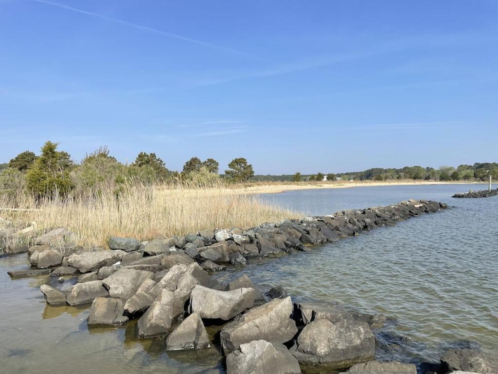 Sunrise Waterfront Cottage with Dock & Kayaks! view 5