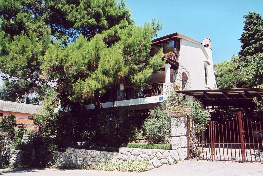 Luka view 2