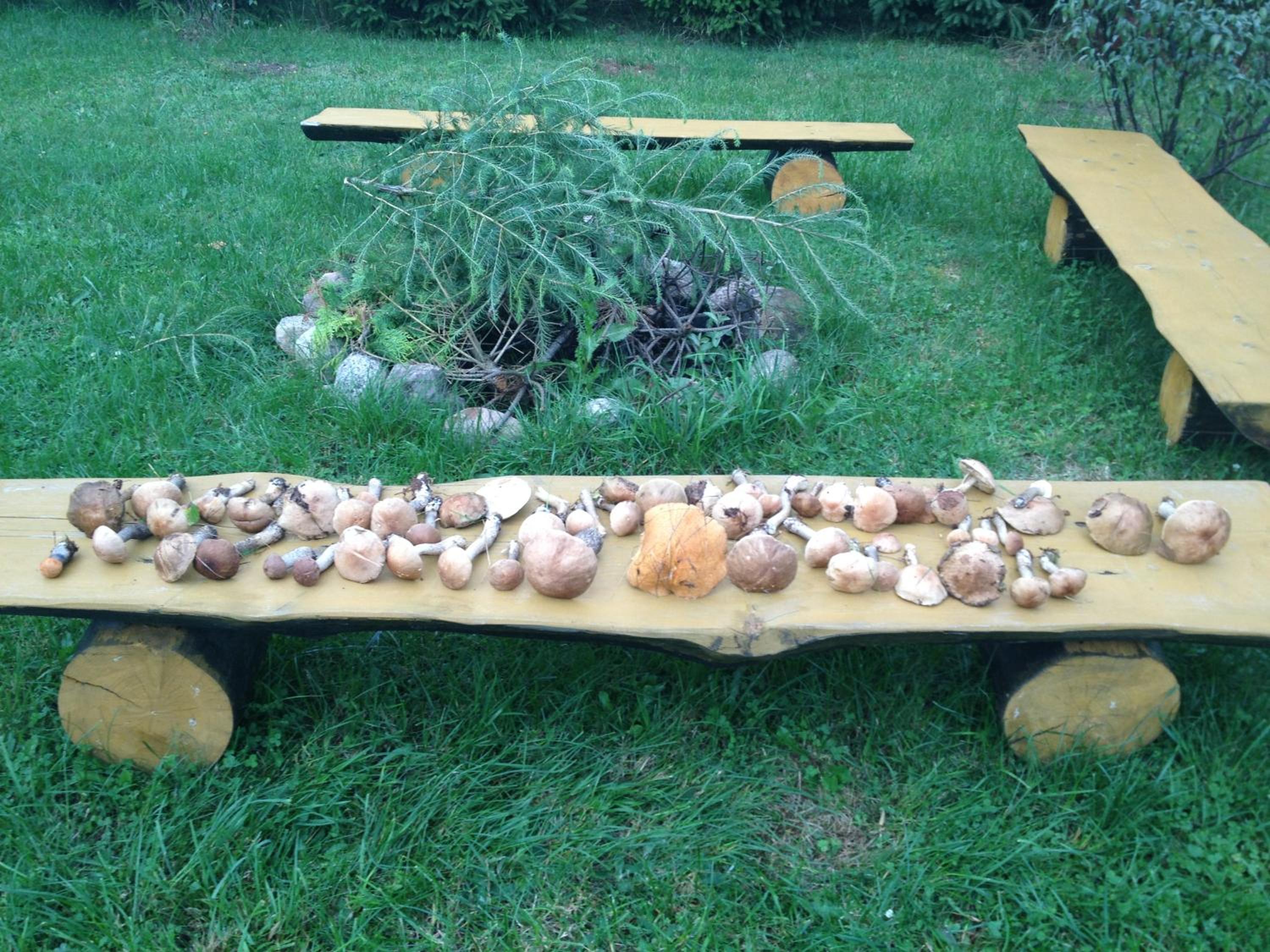 Photo 11