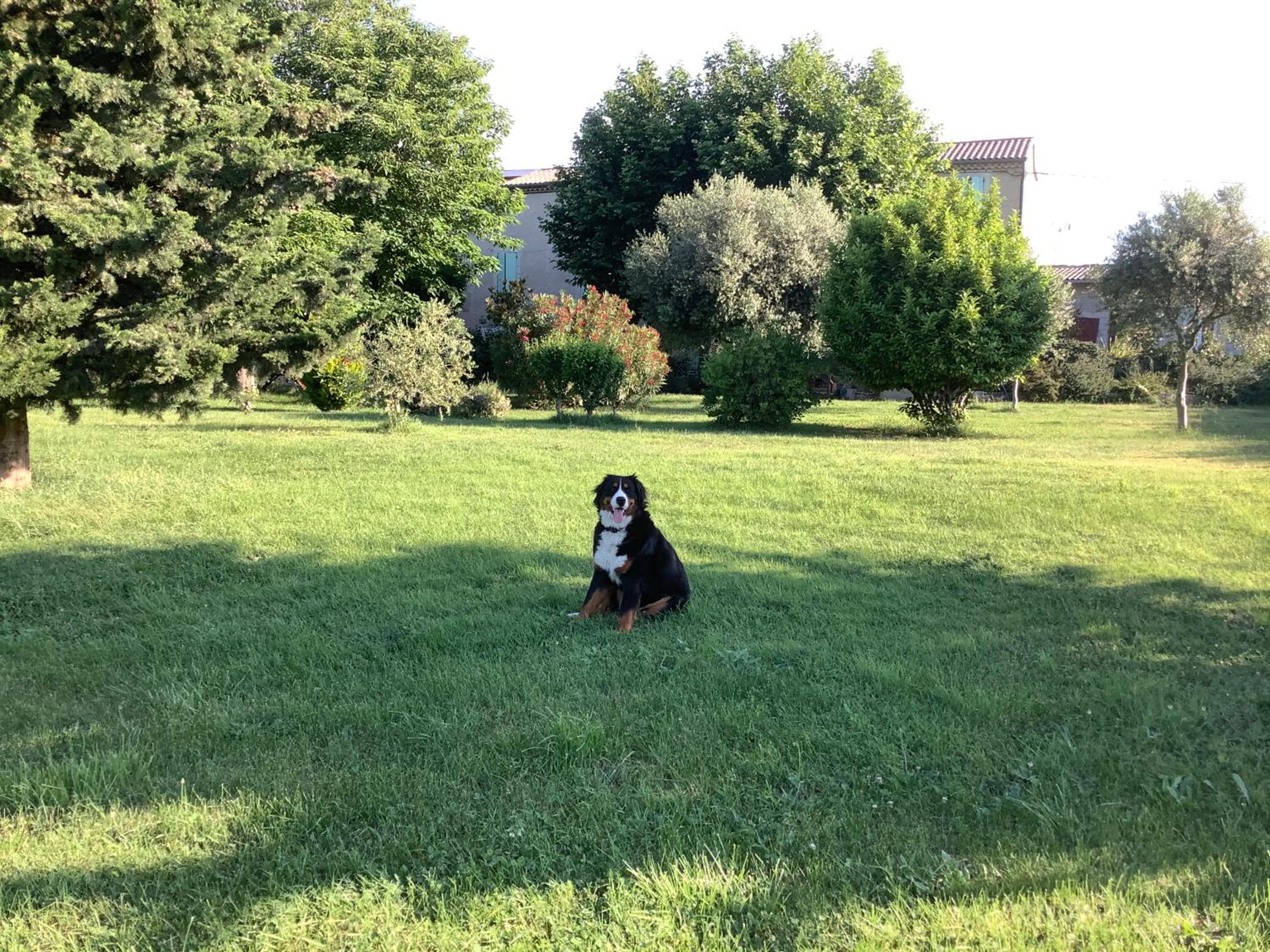 Photo 43