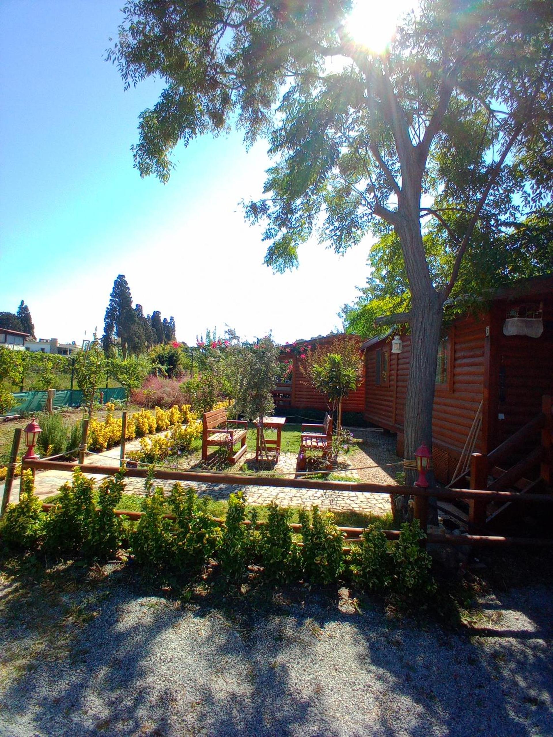 DefneWoodHome view 2