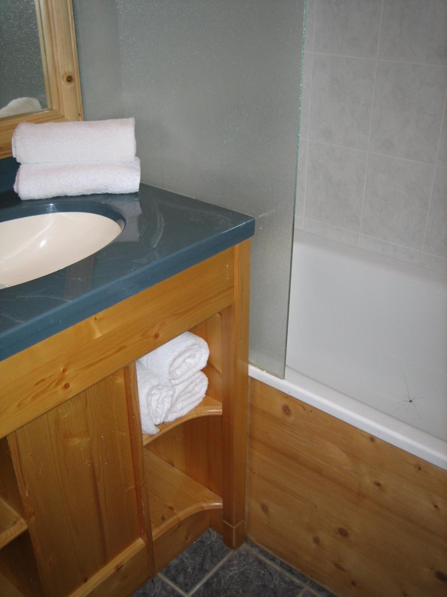 Chalet Beyond - Gelinotte view 5