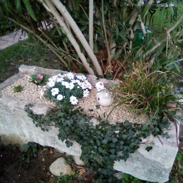 Photo 38