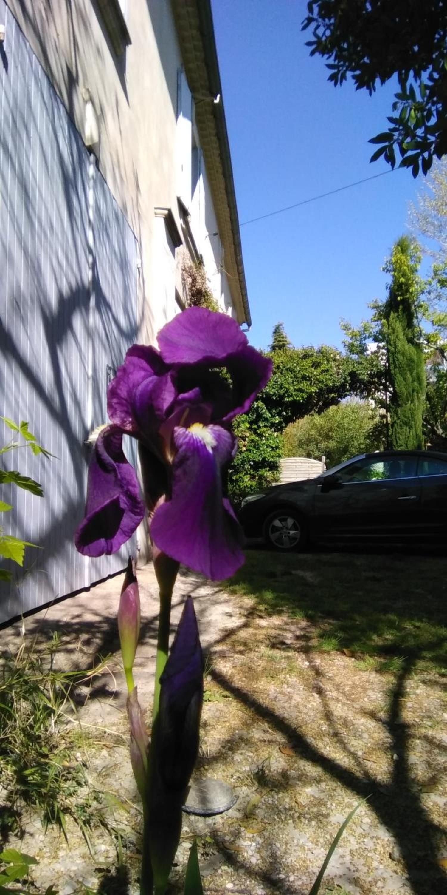 Photo 42