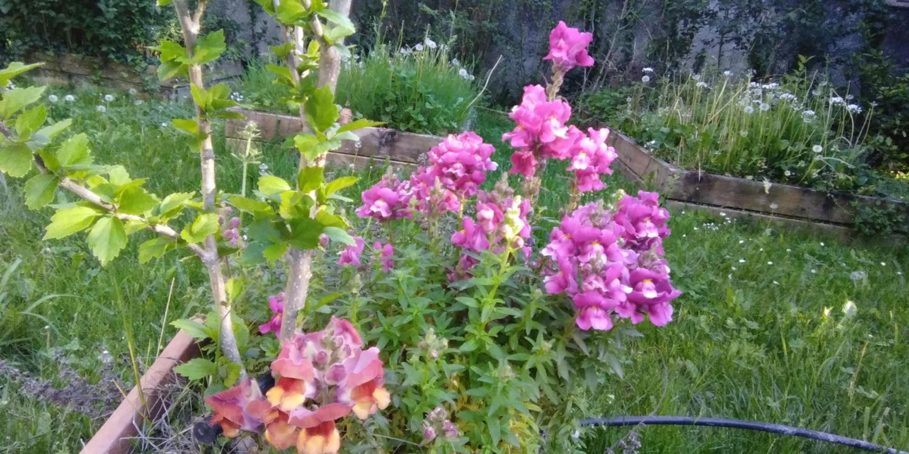 Photo 35