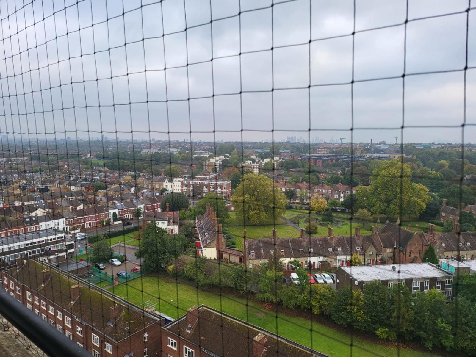 Double room in a cosy flat in Tooting