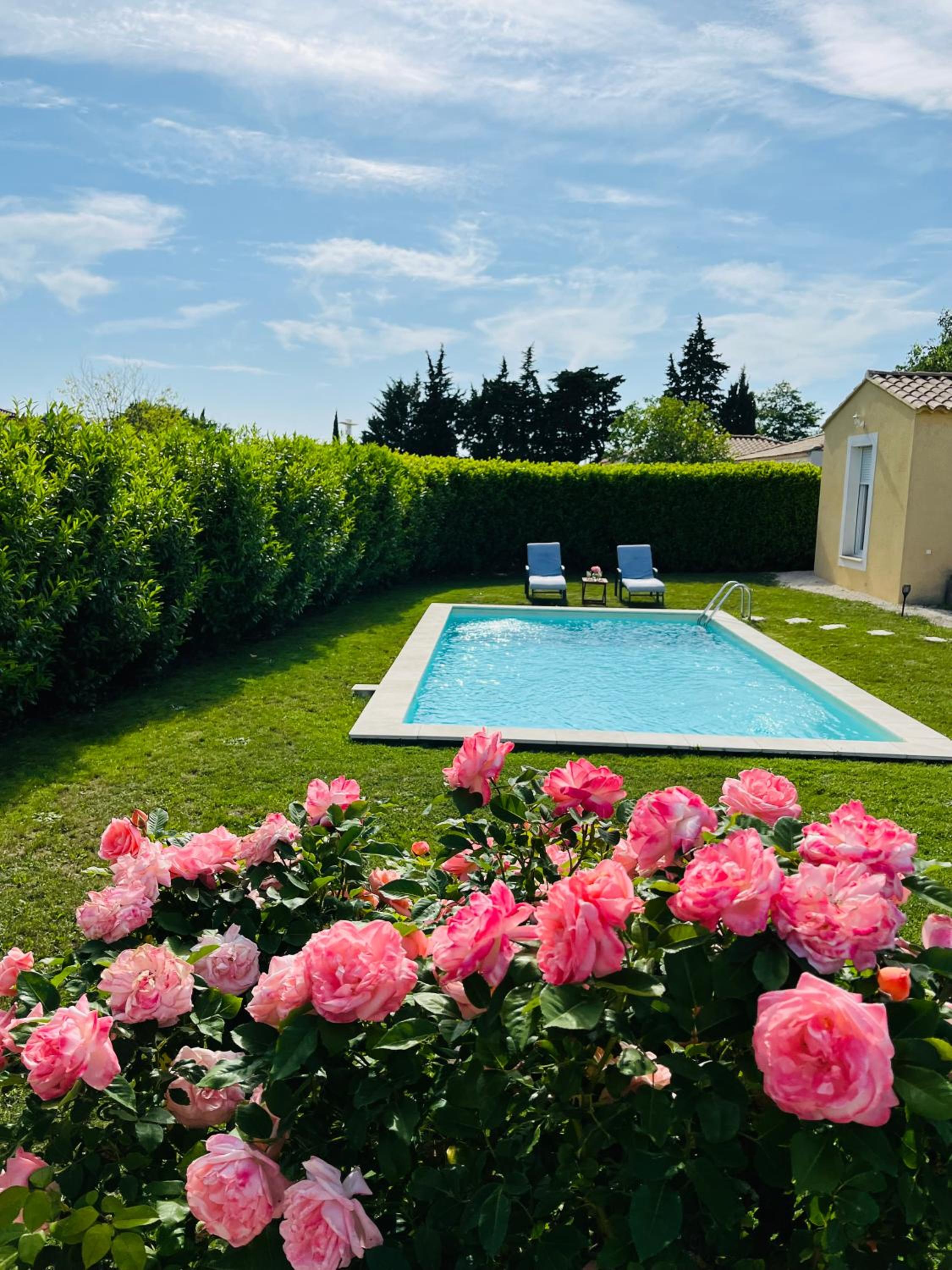Un coin tropical en Provence ! view 2