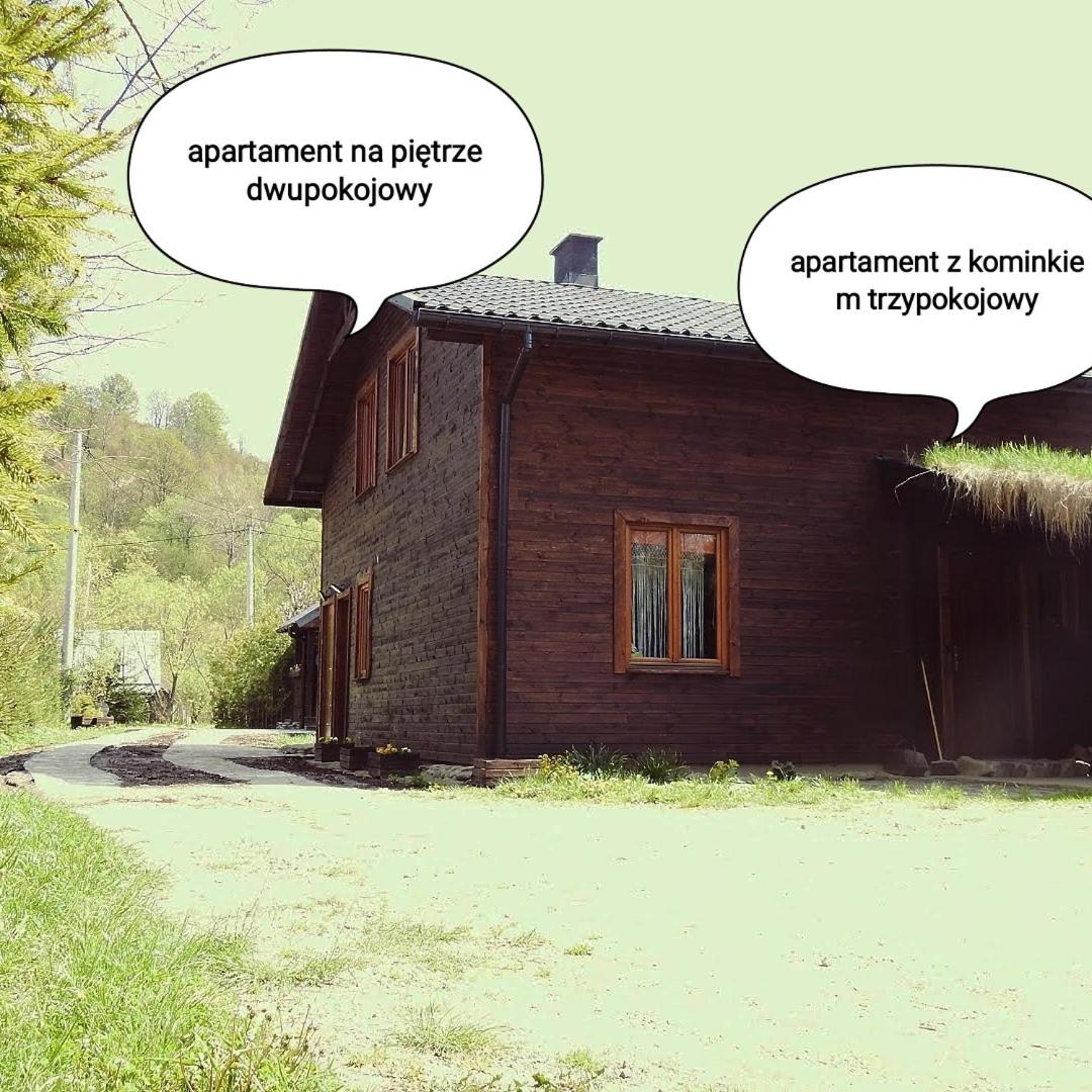 Ostoja nad potokiem Dwernik view 2