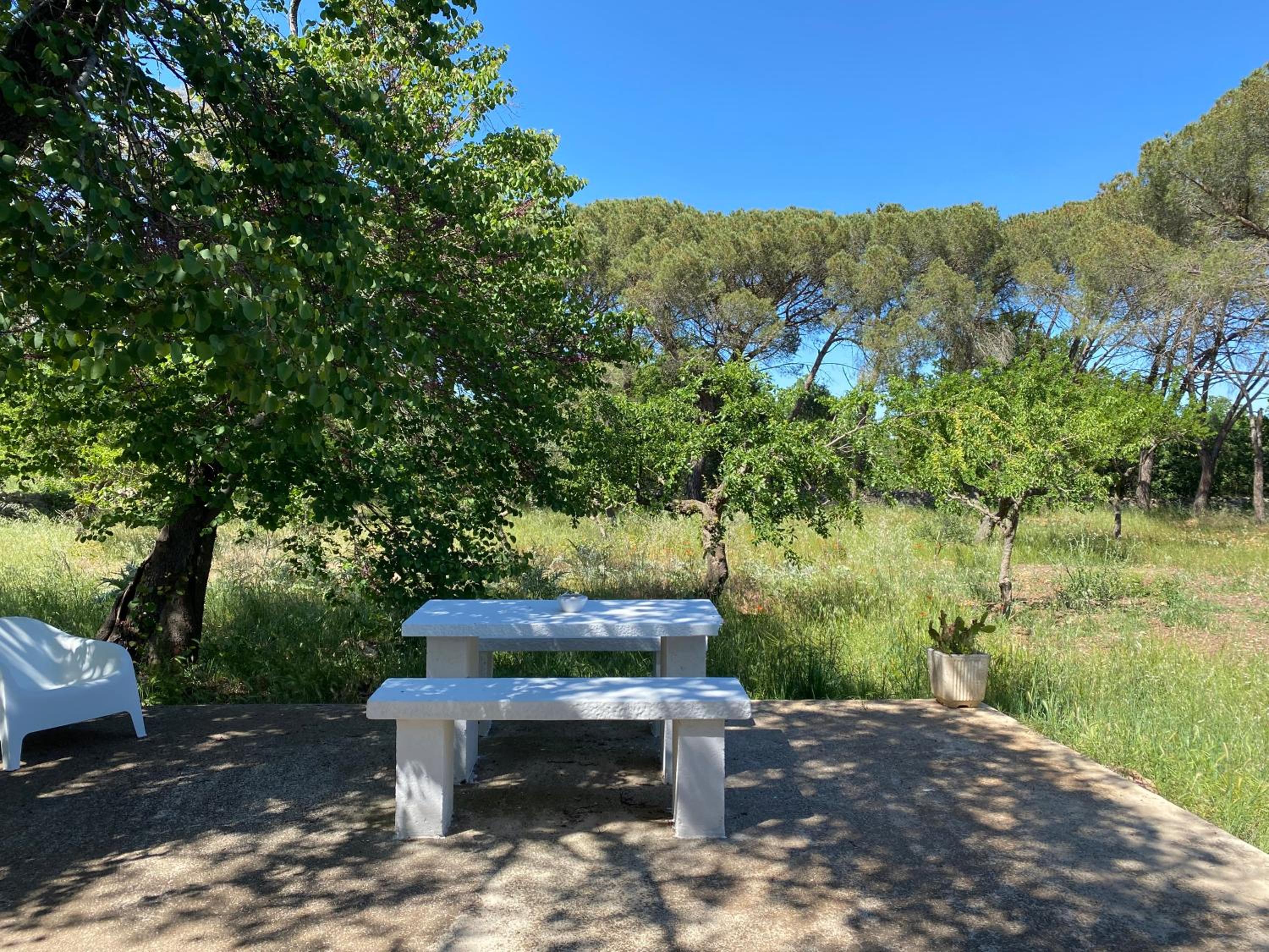 Masseria Santissimo - Country Experience view 5