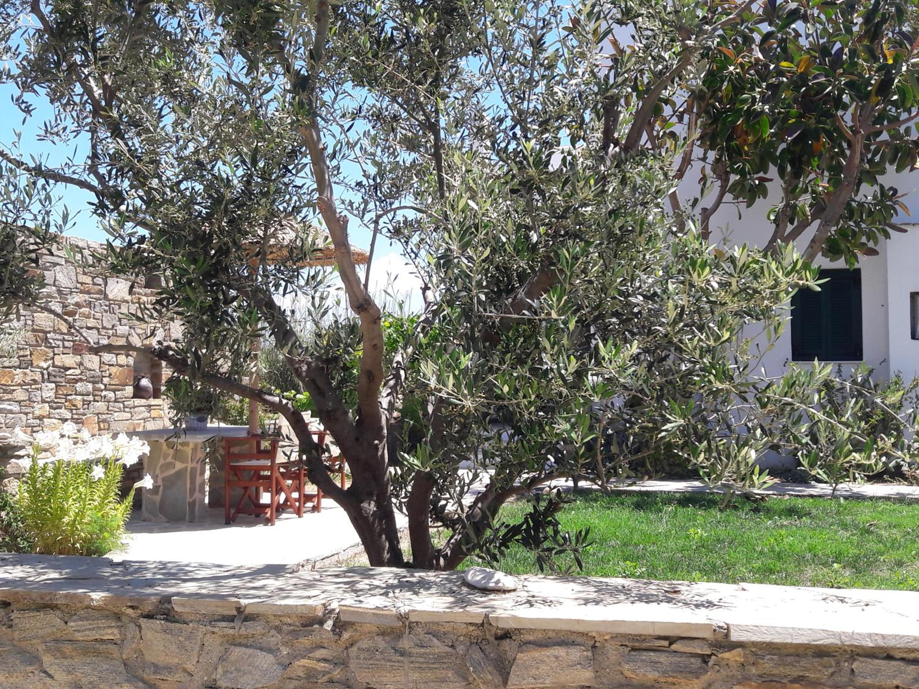 Elpidas studios view 5