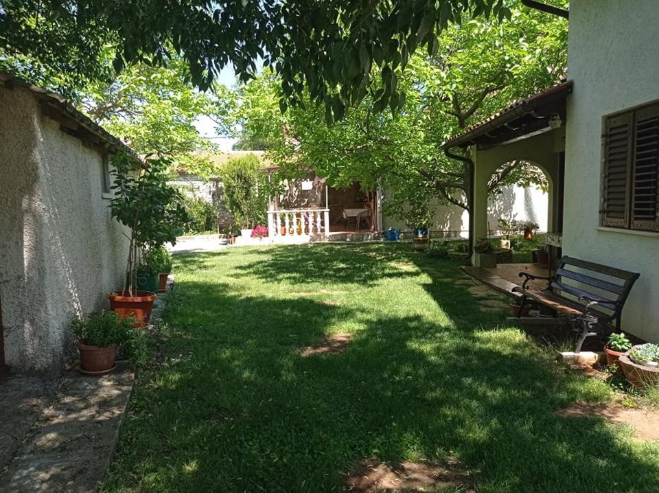 Photo 21