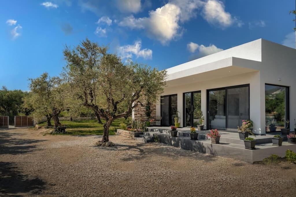 Alfi's House Lithakia Zakynthos photo 5