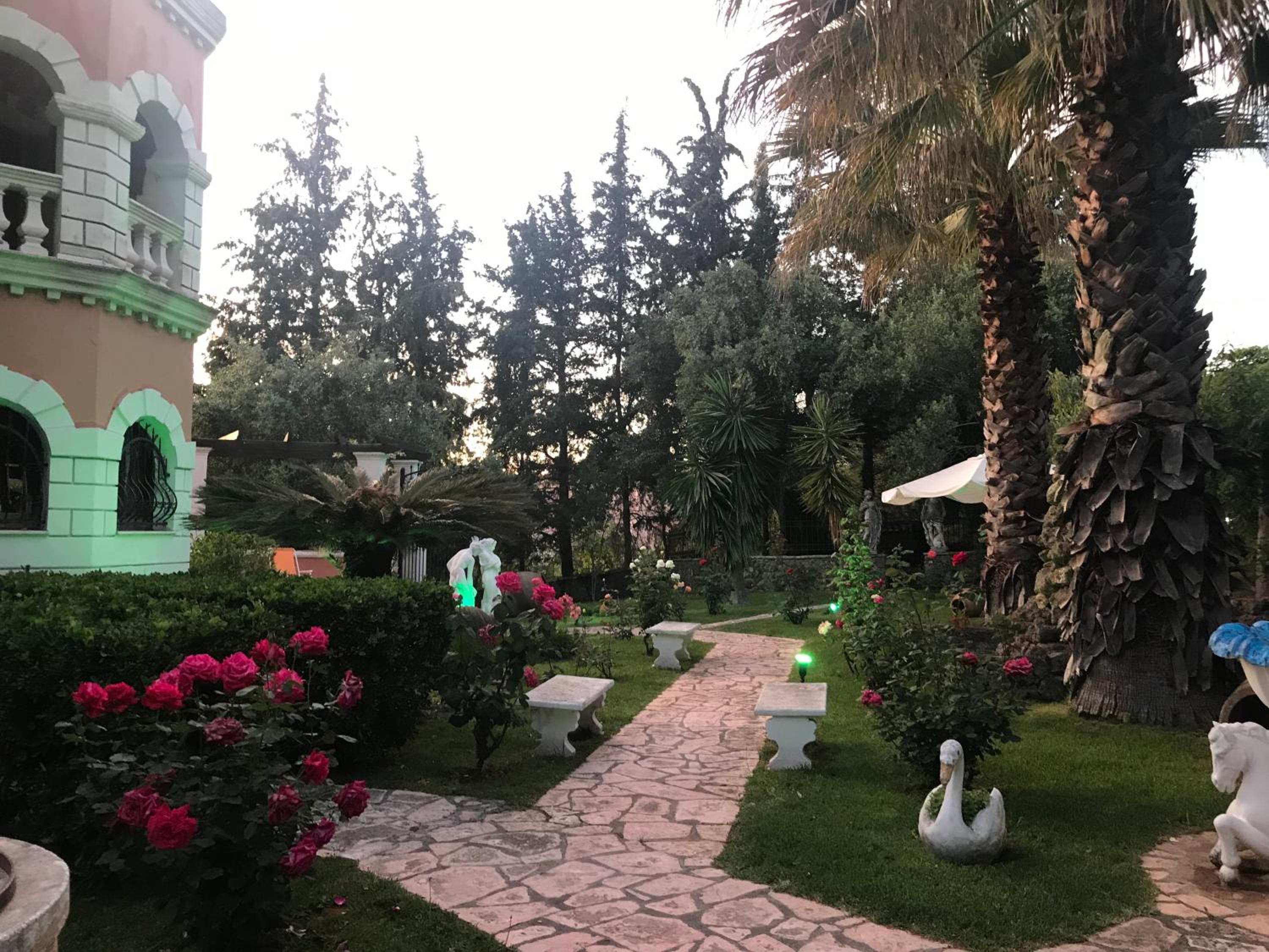 Photo 26