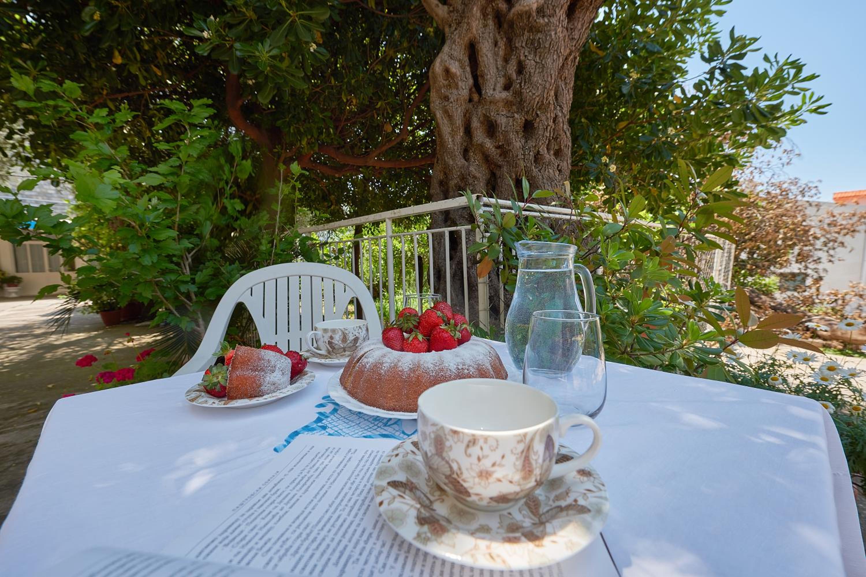 Apartmani Kuća u maslinama view 2