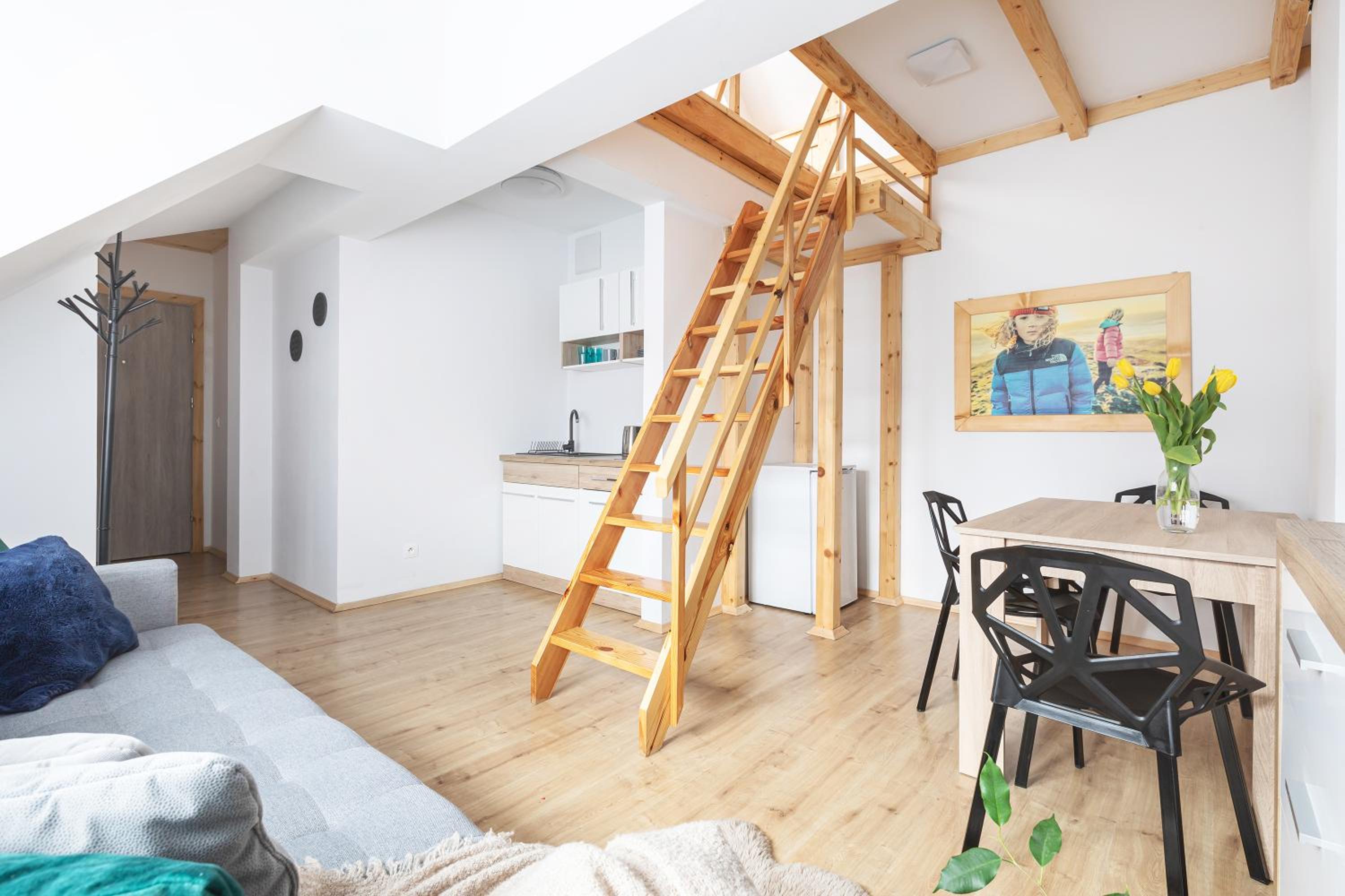 Apartamenty u Nosa