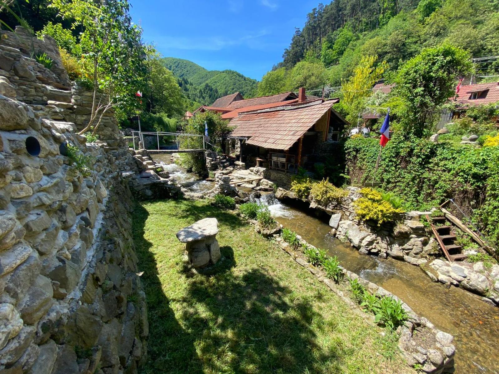 Photo 22