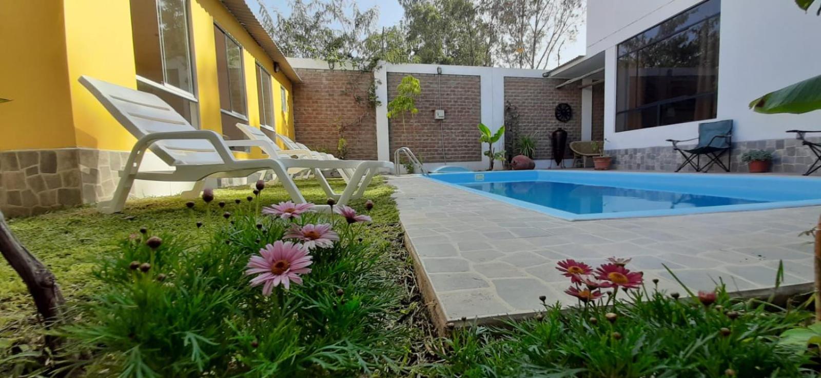 Diamond Monkey Lodge
