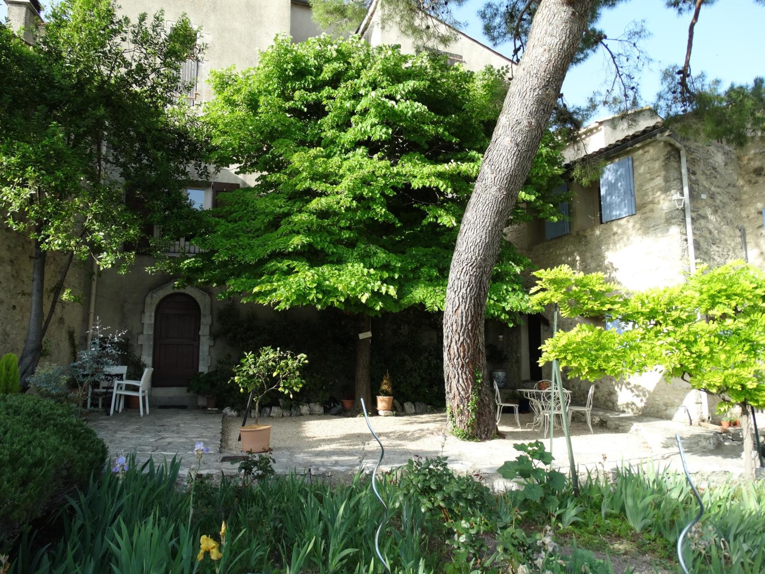 Photo 12