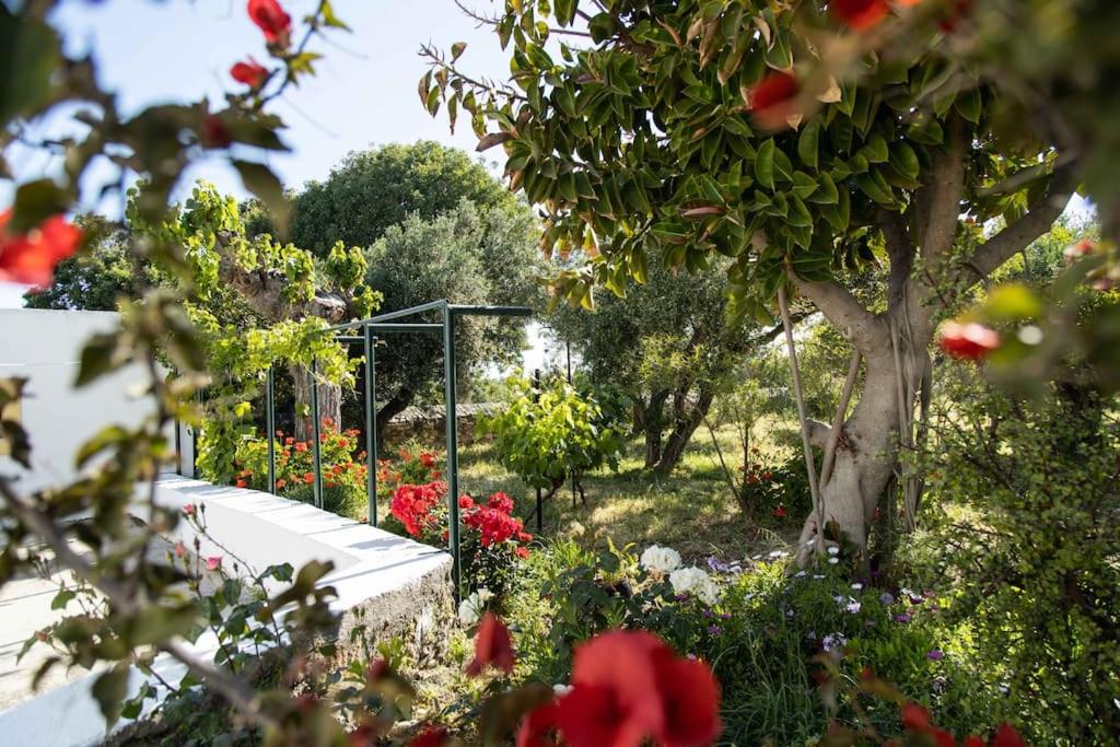 Villa Peleziki photo 4