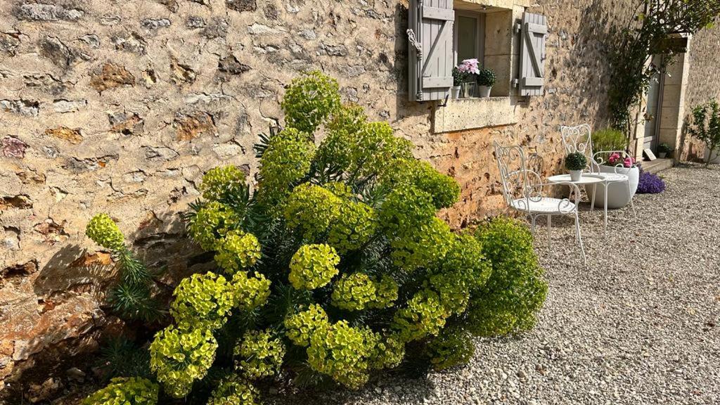 TENDANCE CAMPAGNE Chambre d'hôte et Gîte l'été