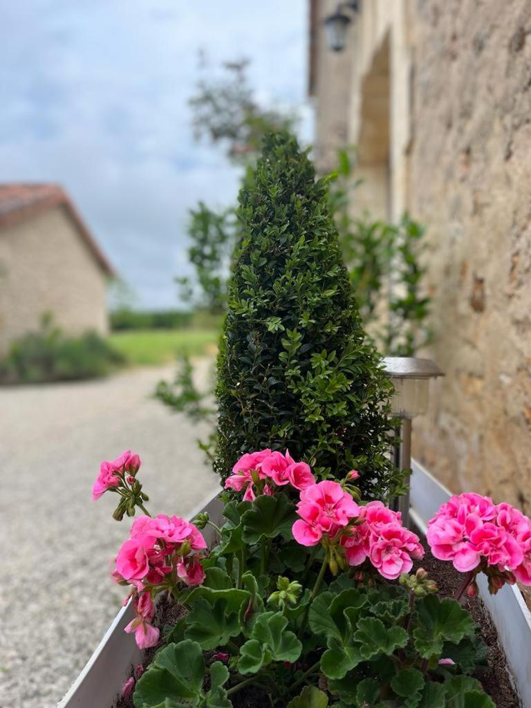 TENDANCE CAMPAGNE Chambre d'hôte et Gîte l'été
