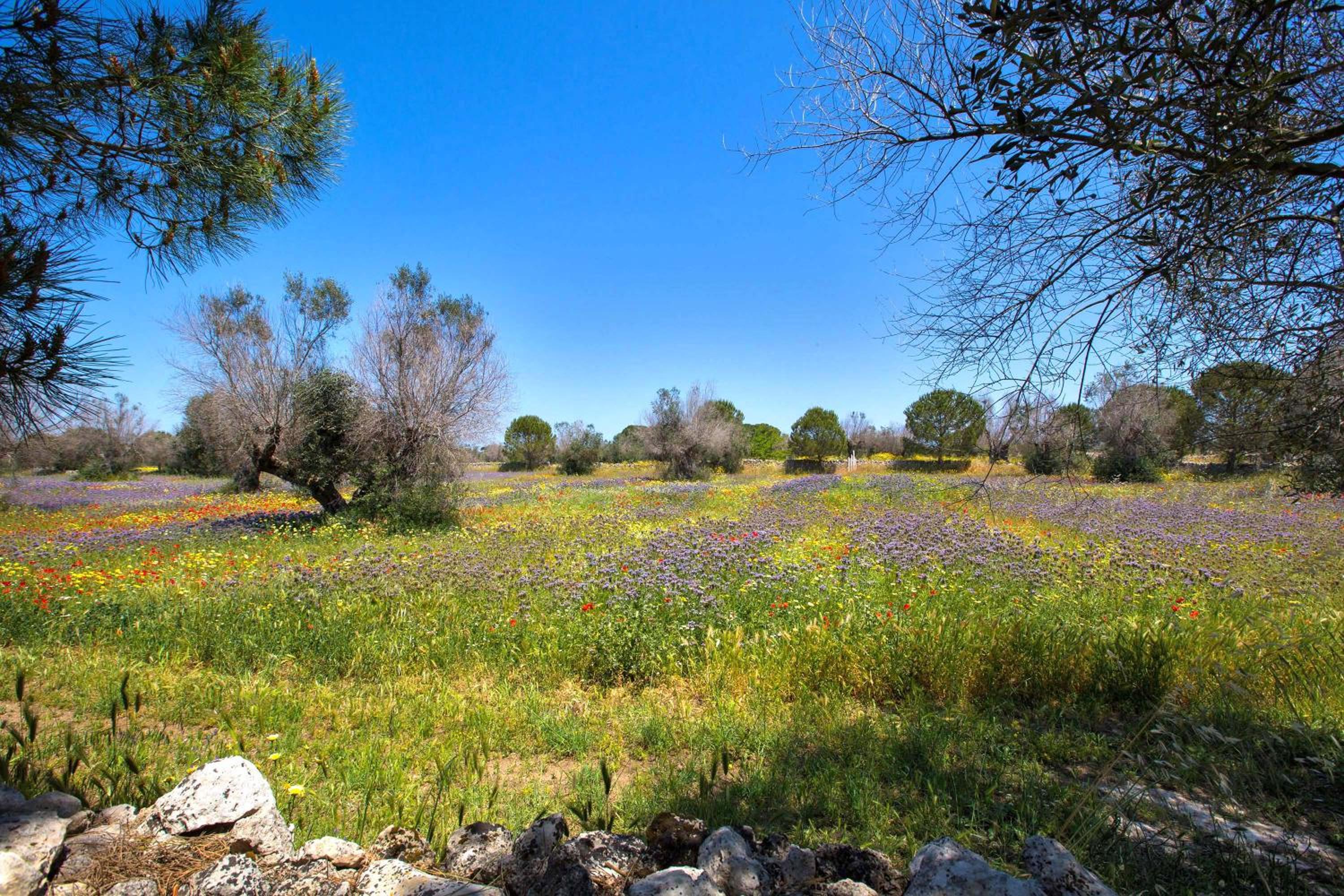Masseria San Biagio