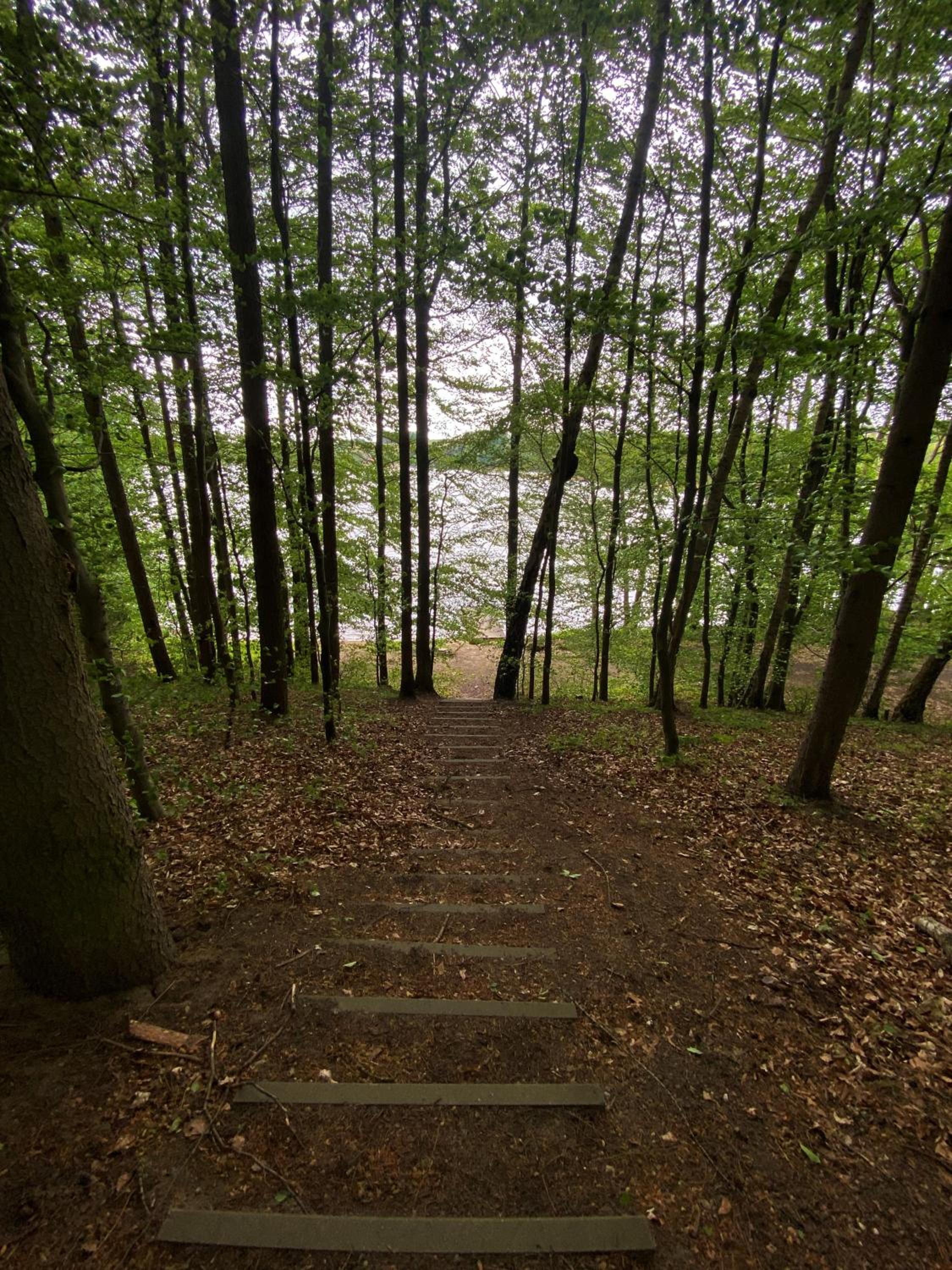 Photo 45