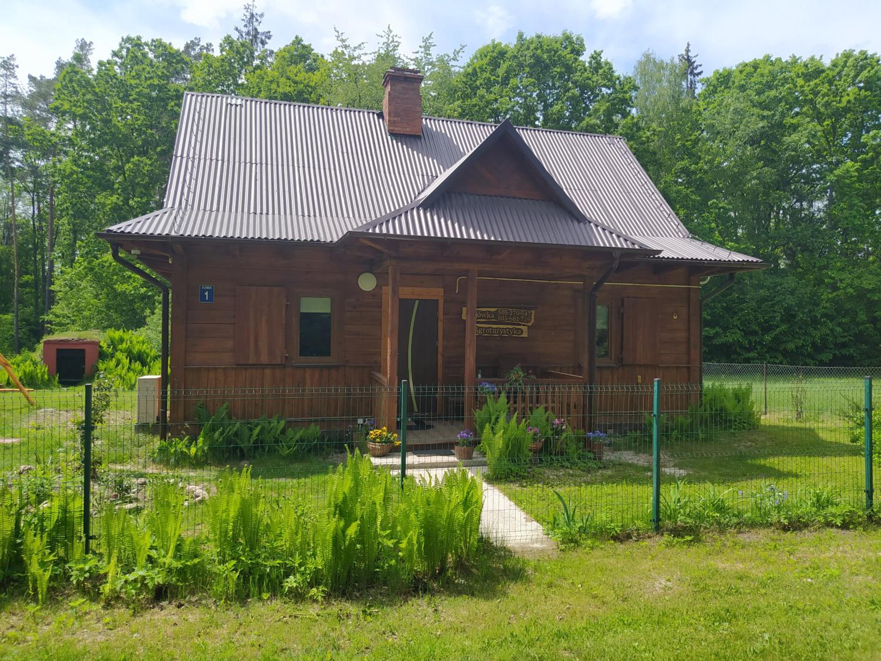 Photo 17