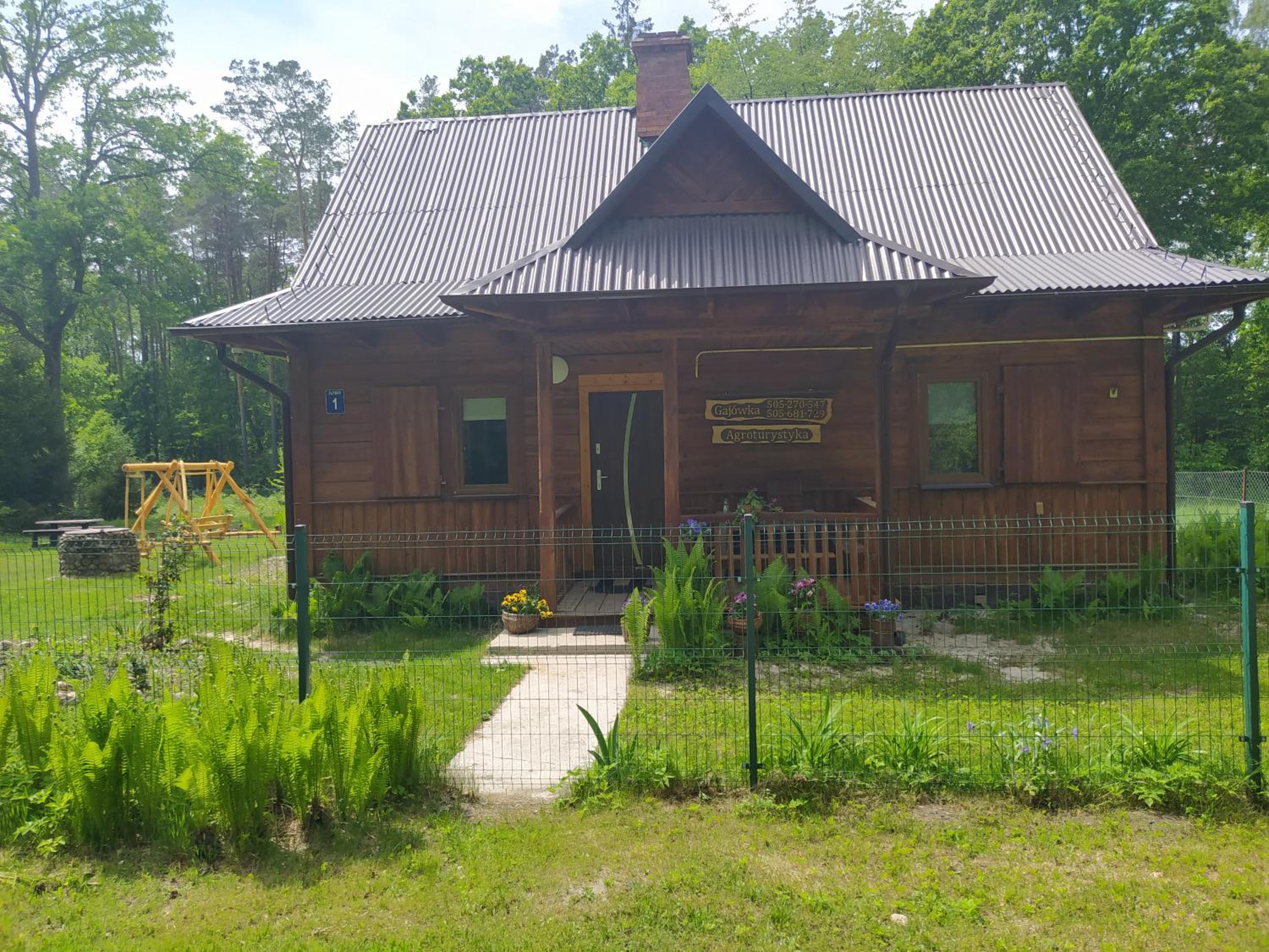 Photo 16