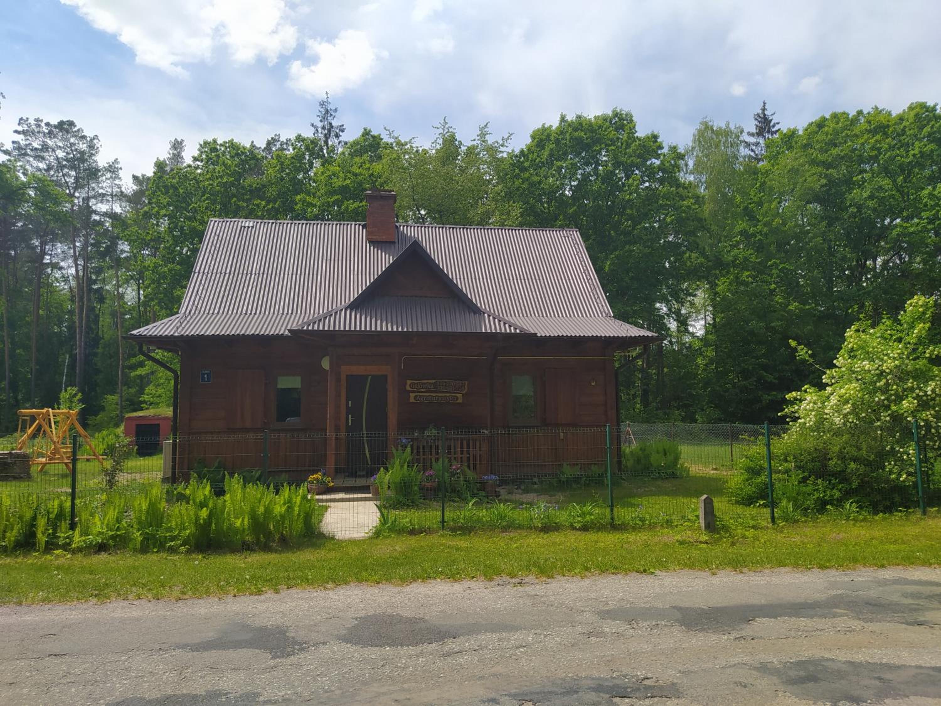 Photo 45