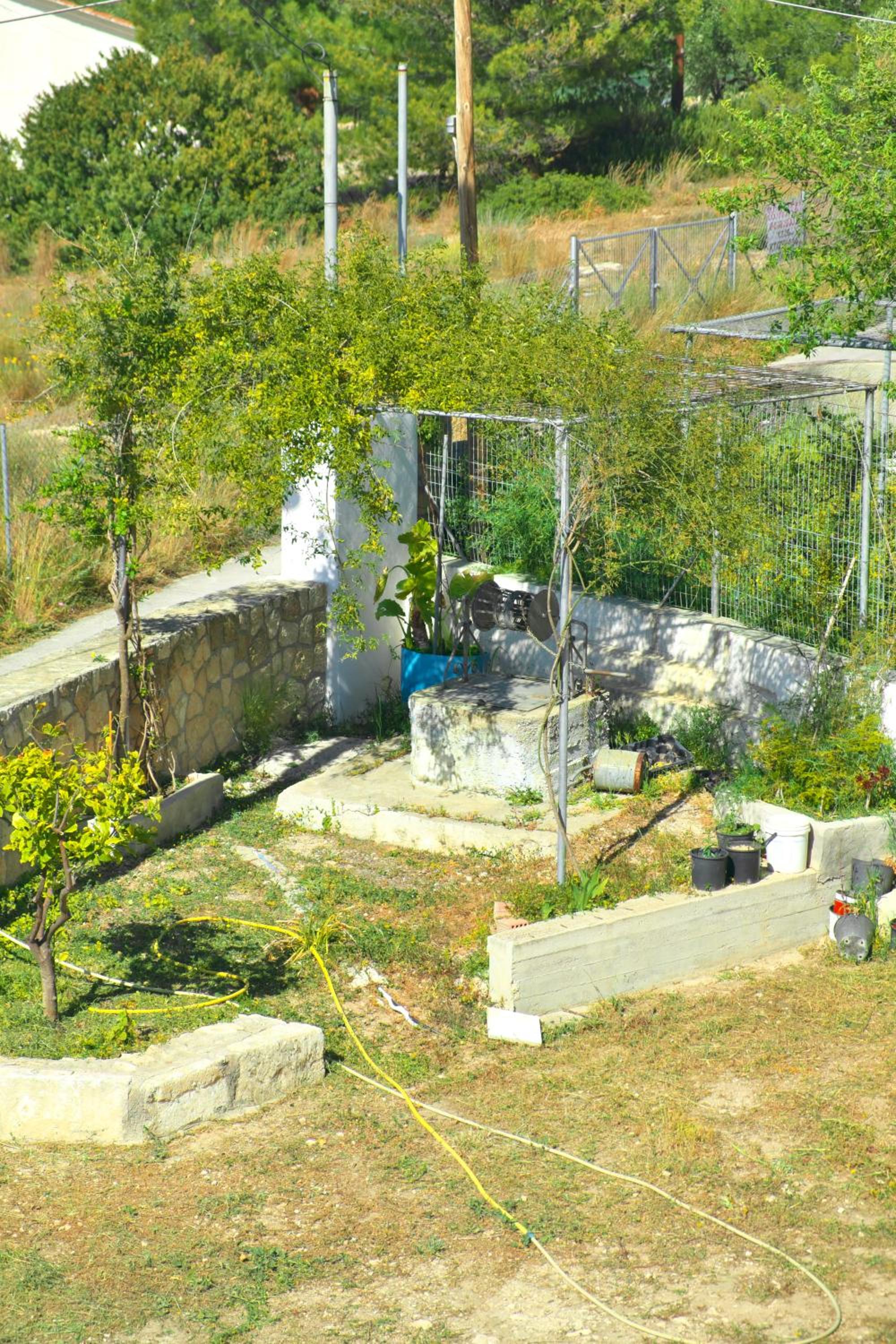 Georgia's House