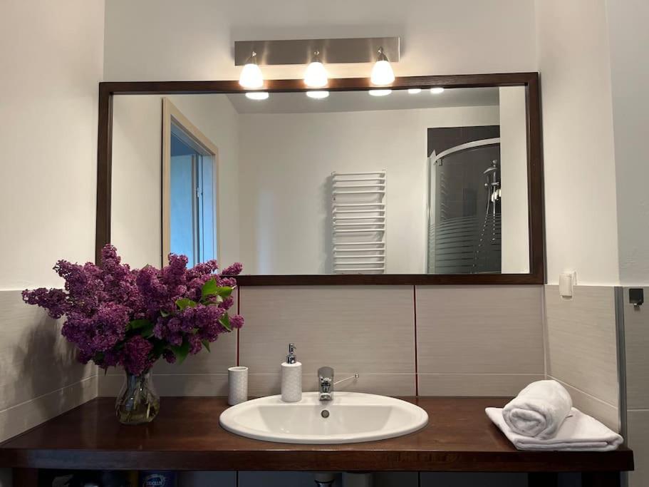 Apartament Hemingwaya