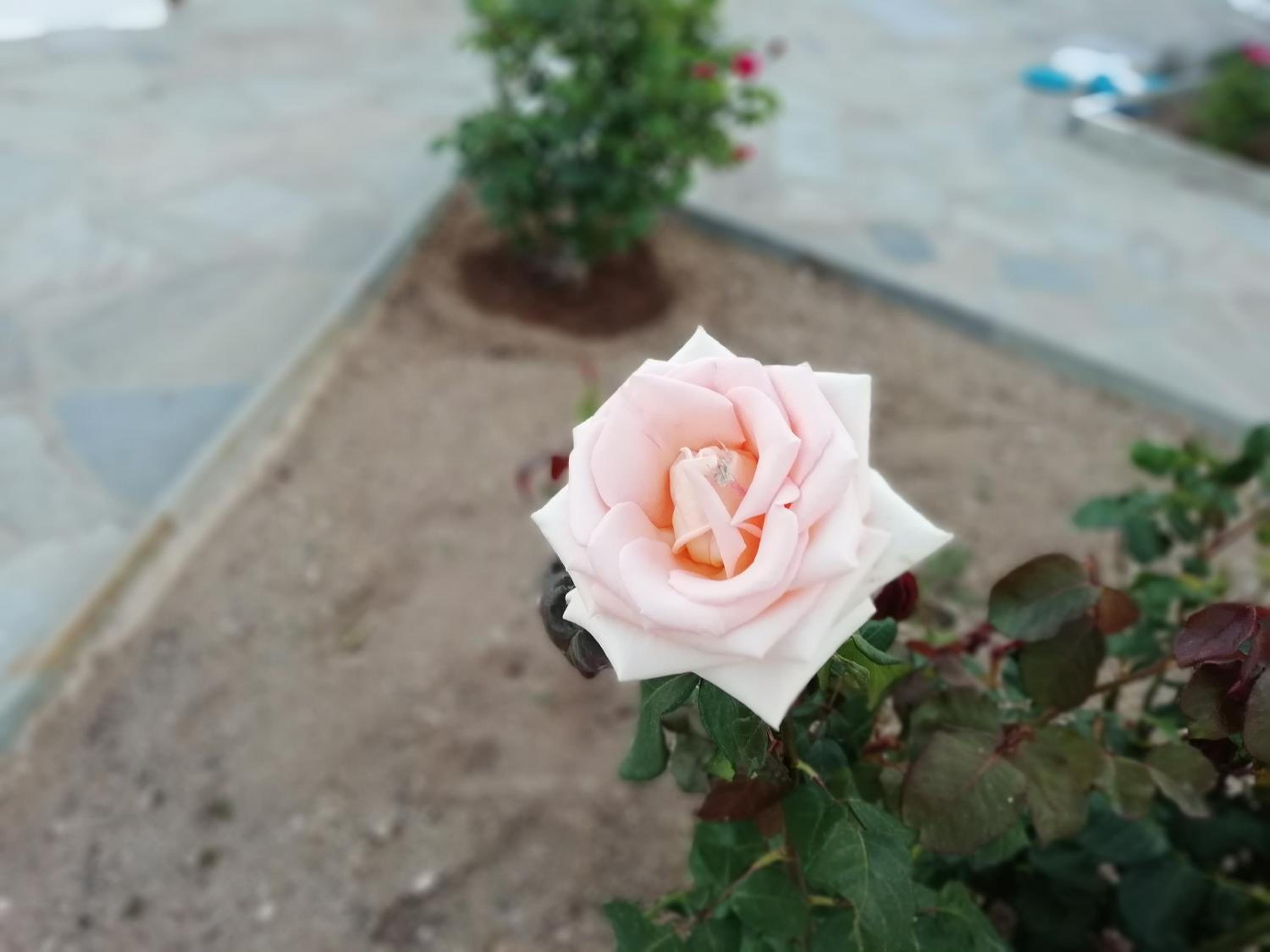 Photo 46