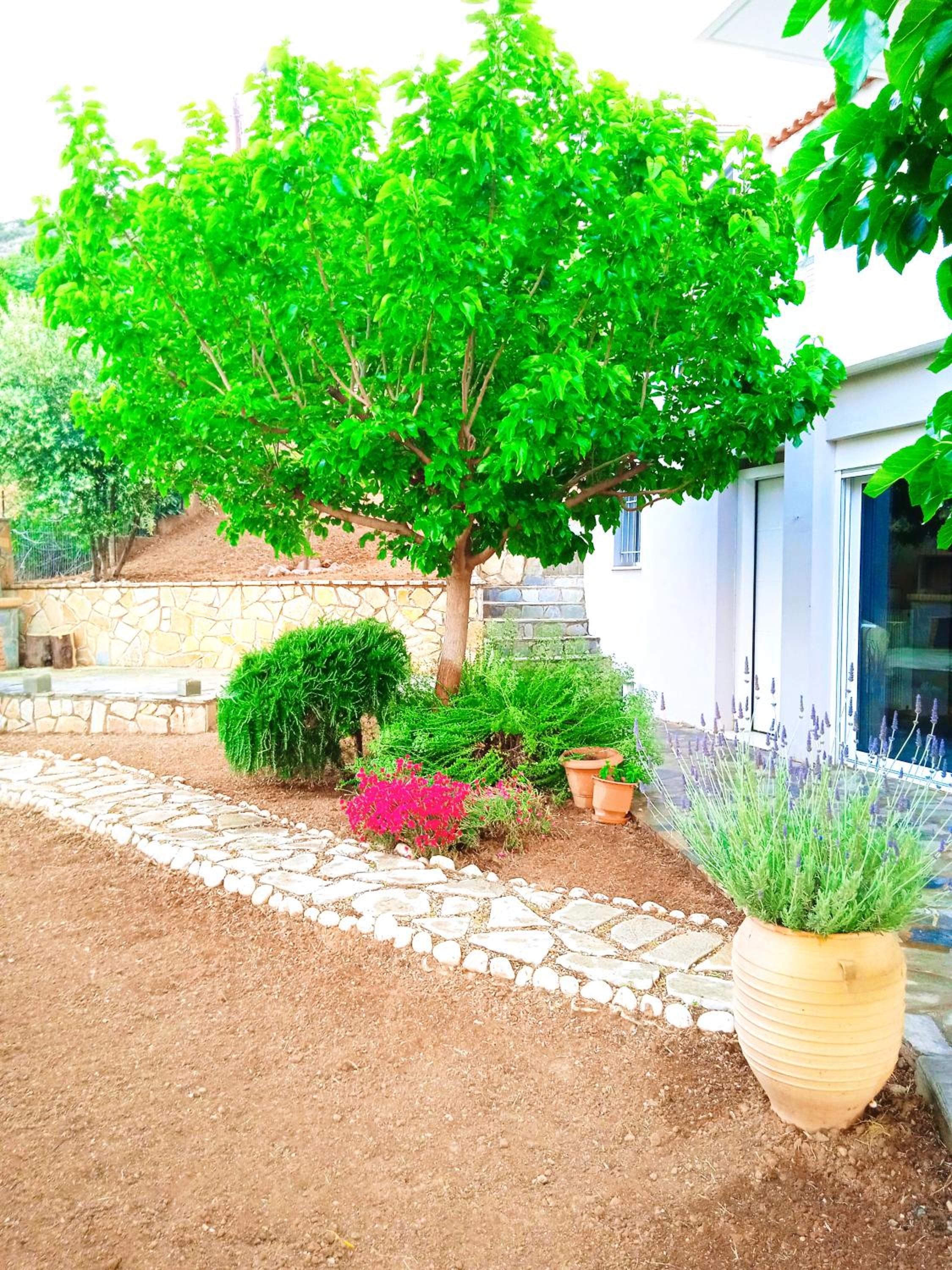 Nafplio View Luxury House photo 3