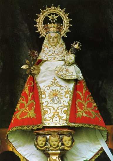 Photo 24