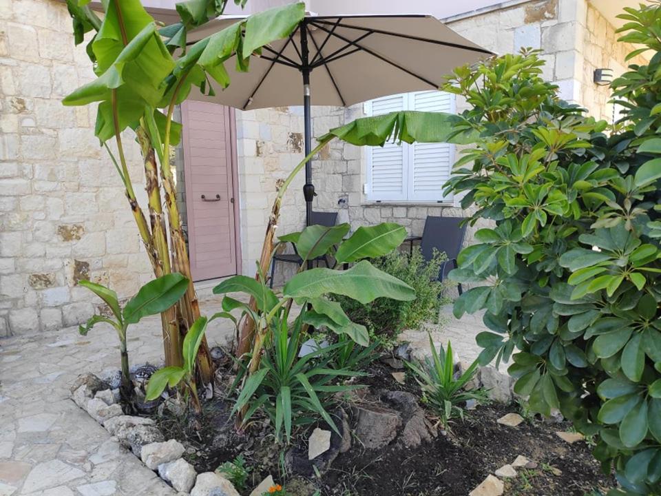 Xenia's Countryside Guesthouse