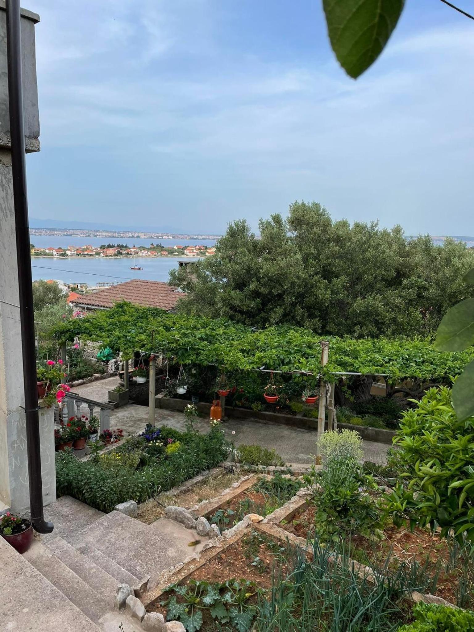 Apartman Ivanica