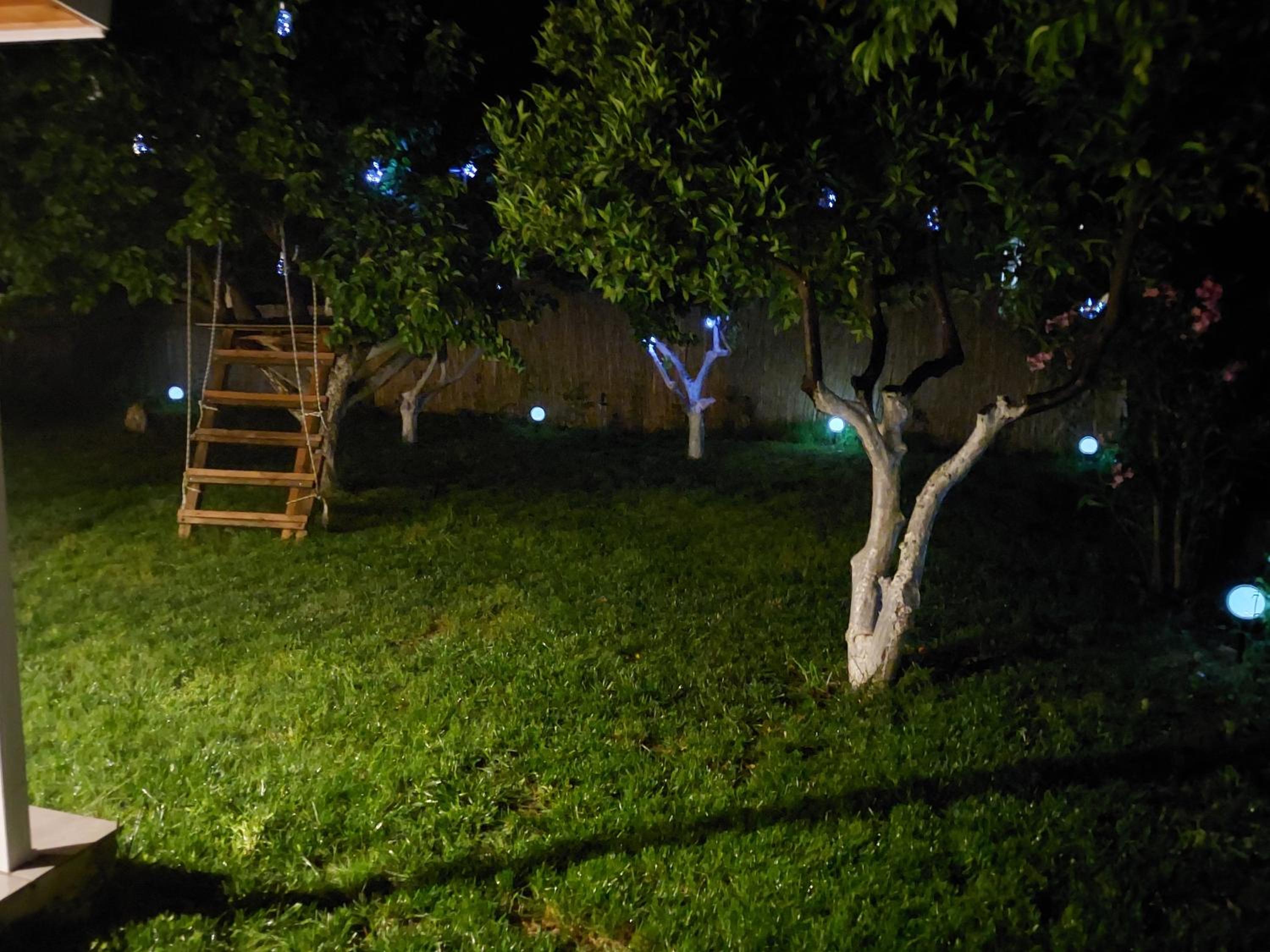 Photo 27