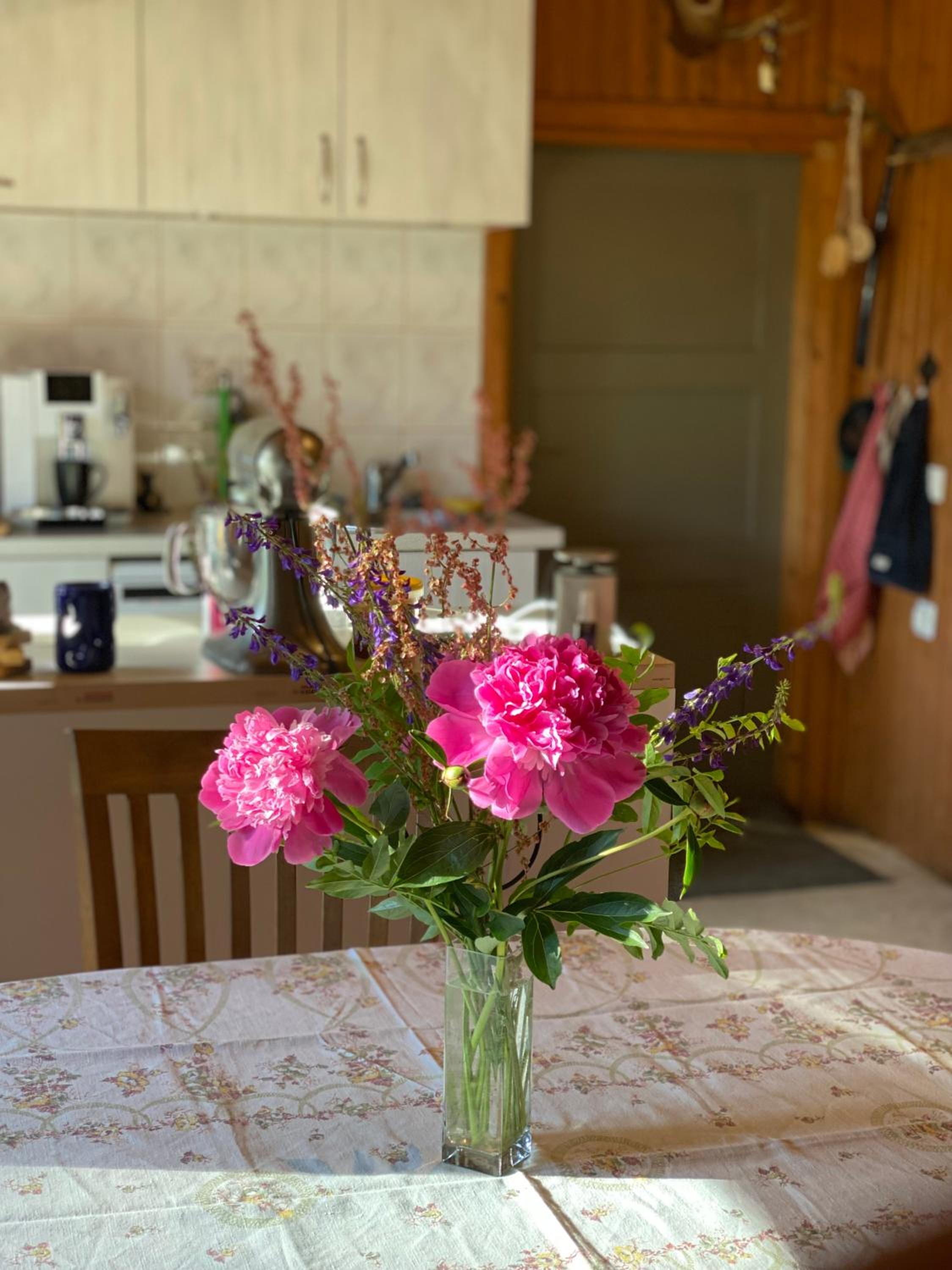 Sepa farm stay