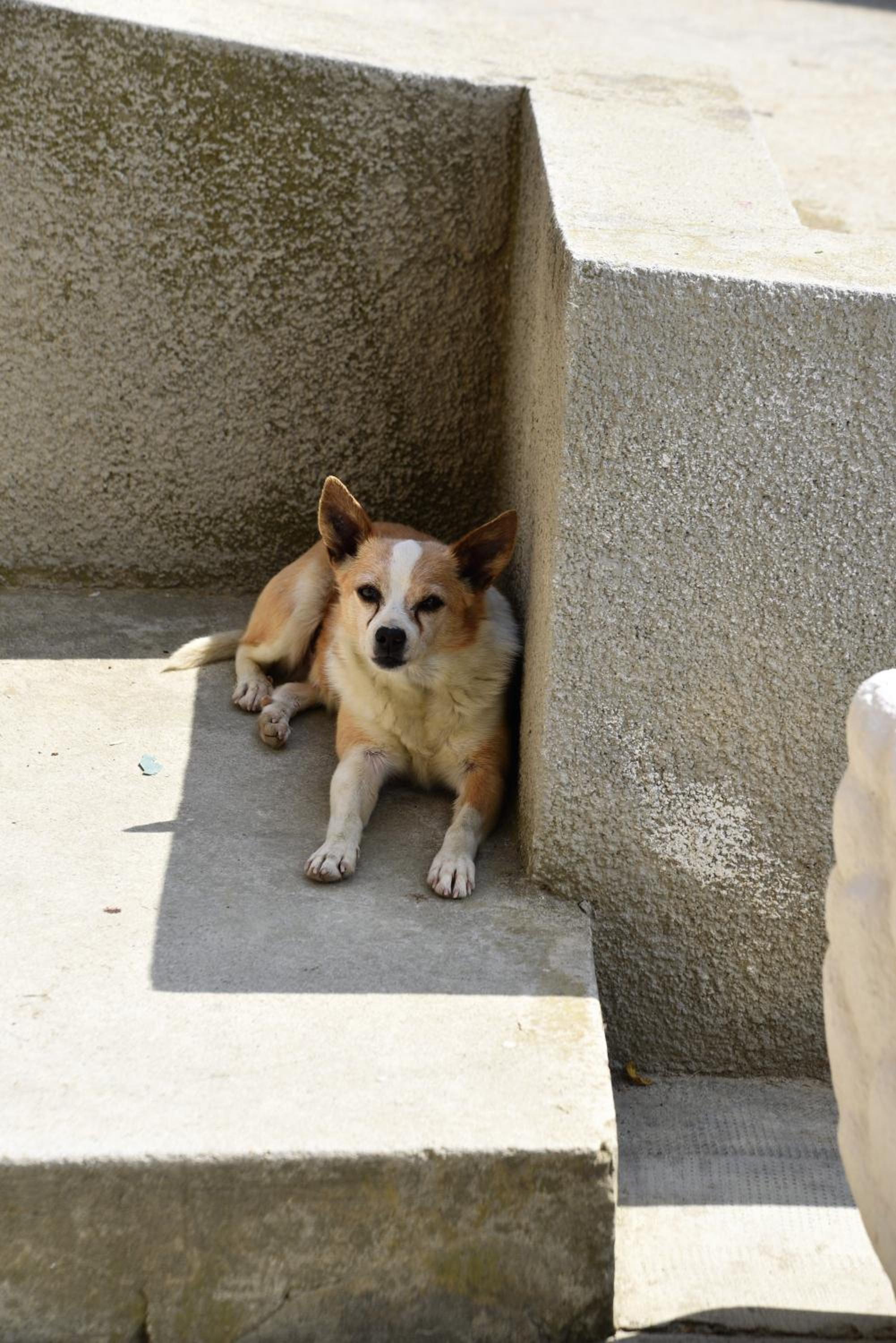 Photo 47