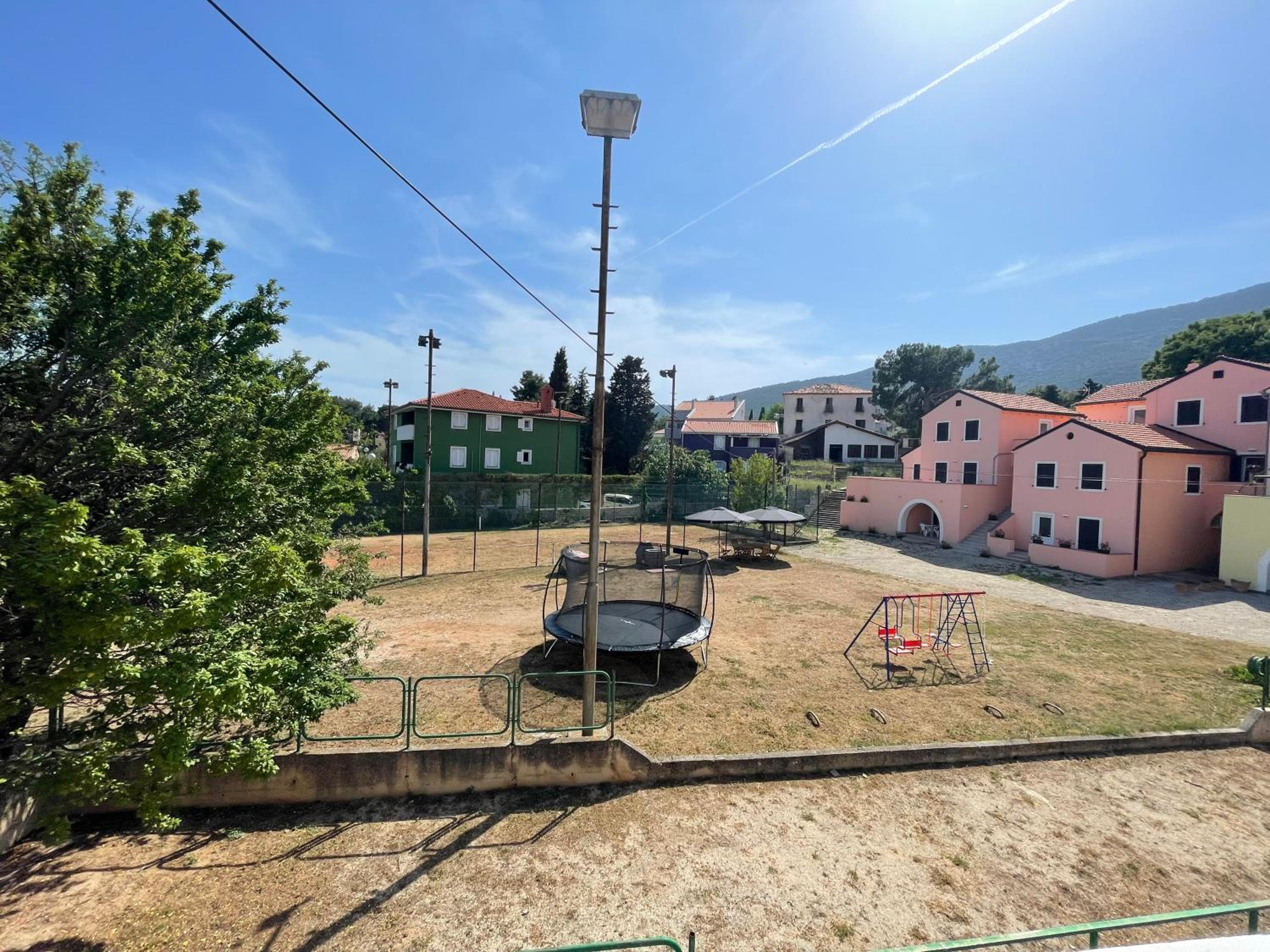 OLIVE view 5