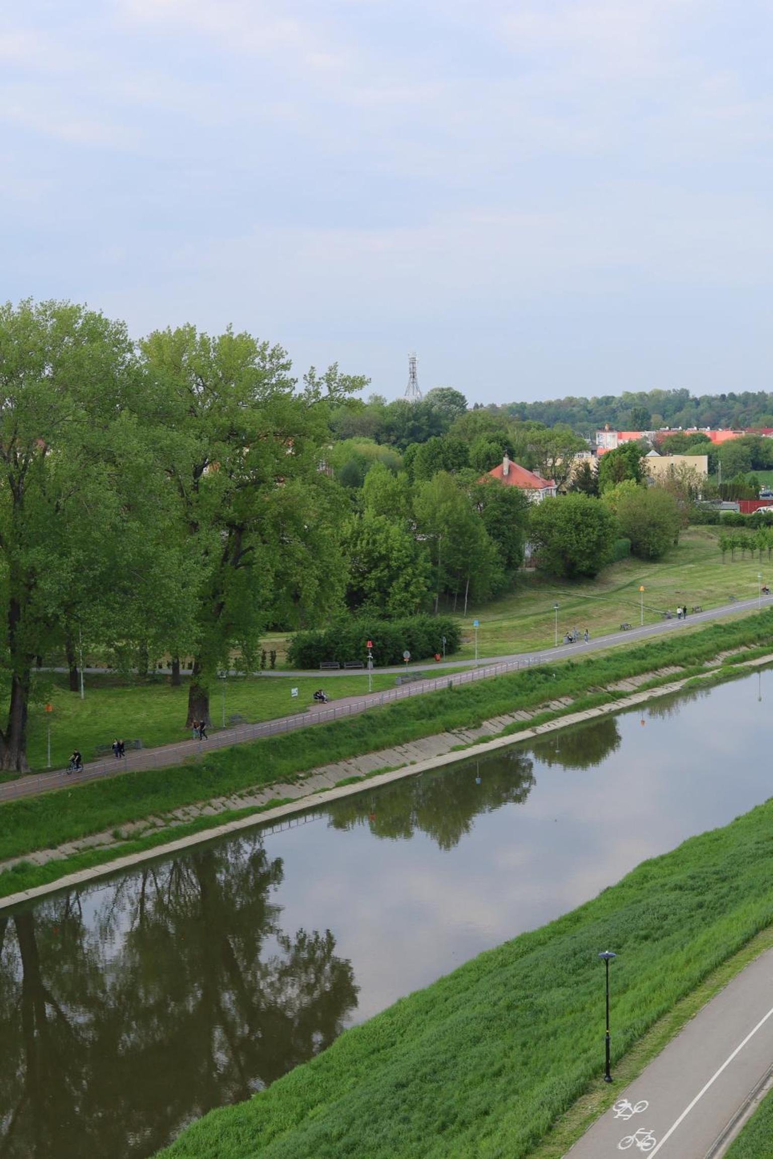 Photo 33