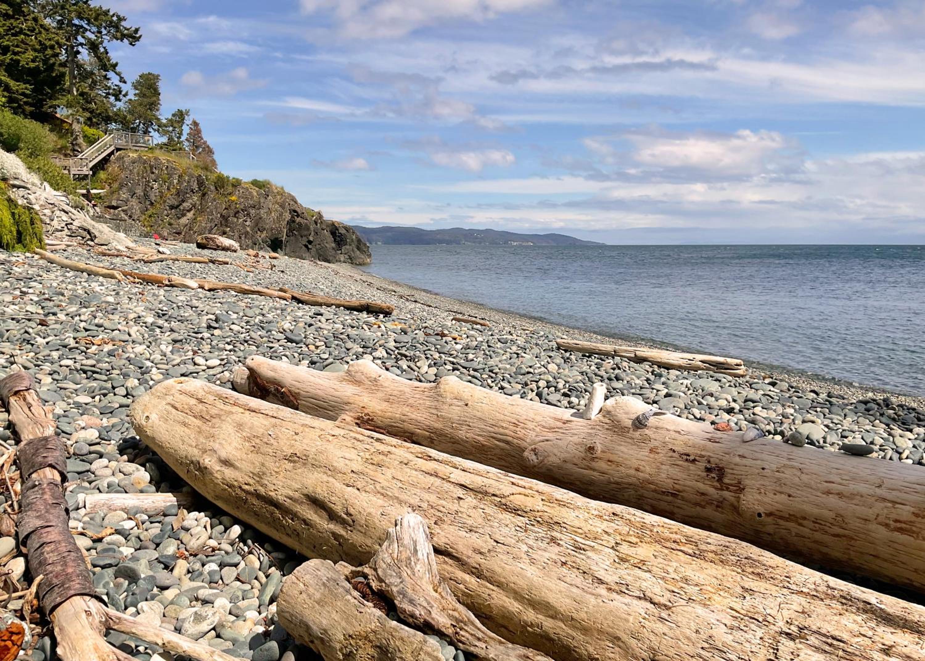 Orca View Cottage
